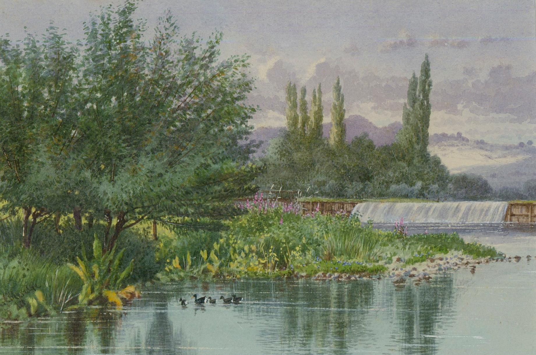 Francis George Coleridge (1838-1923)- Framed Watercolour, Moorhens on the Water - Art by Unknown