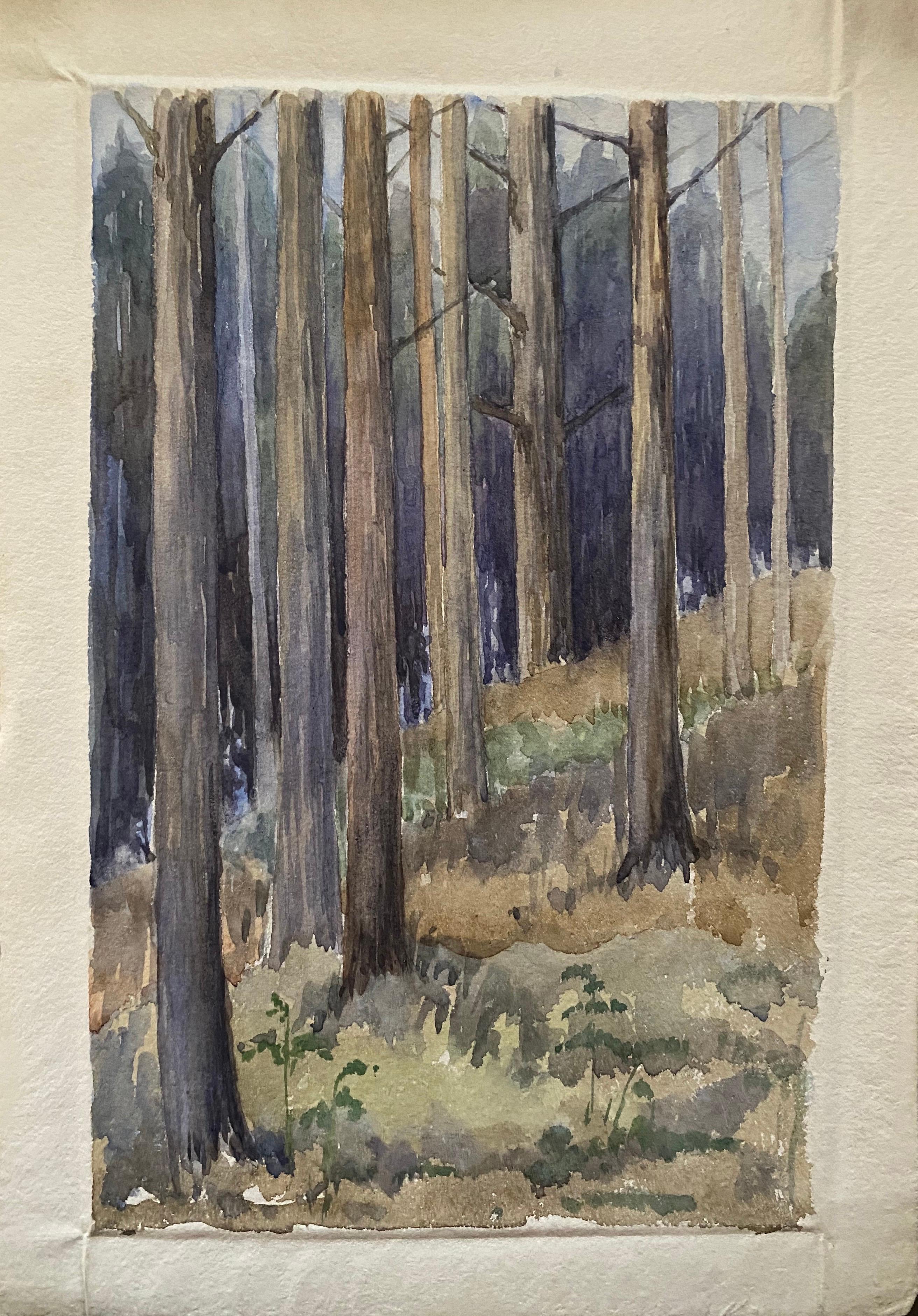 1900 Pintura en acuarela English Impressionist Cautivador Bosque de Medianoche - Art de Unknown