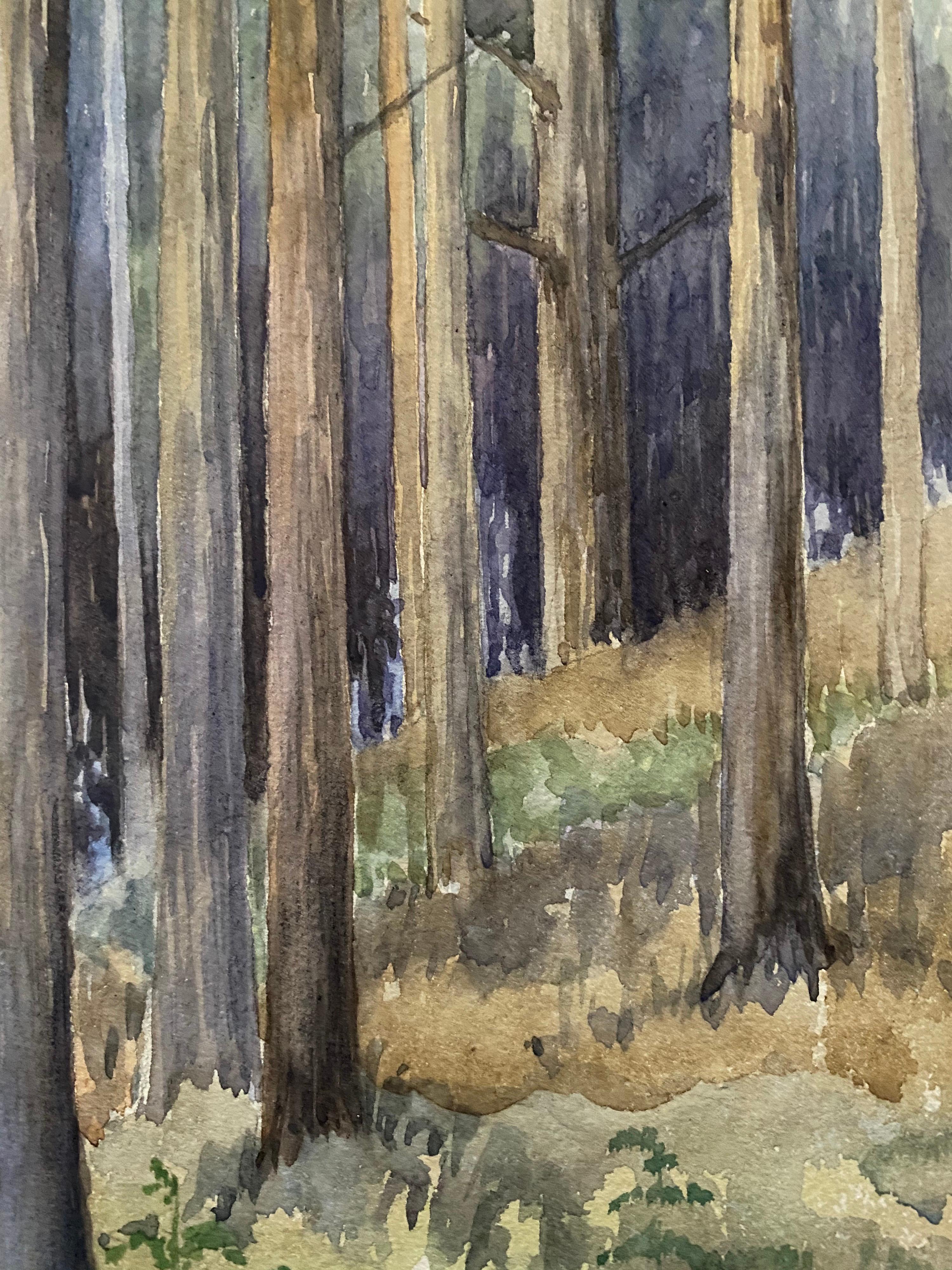 1900 Pintura en acuarela English Impressionist Cautivador Bosque de Medianoche - Landscape Art Gris de Unknown