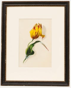 Acquerello del primo Novecento - Studio di tulipani II