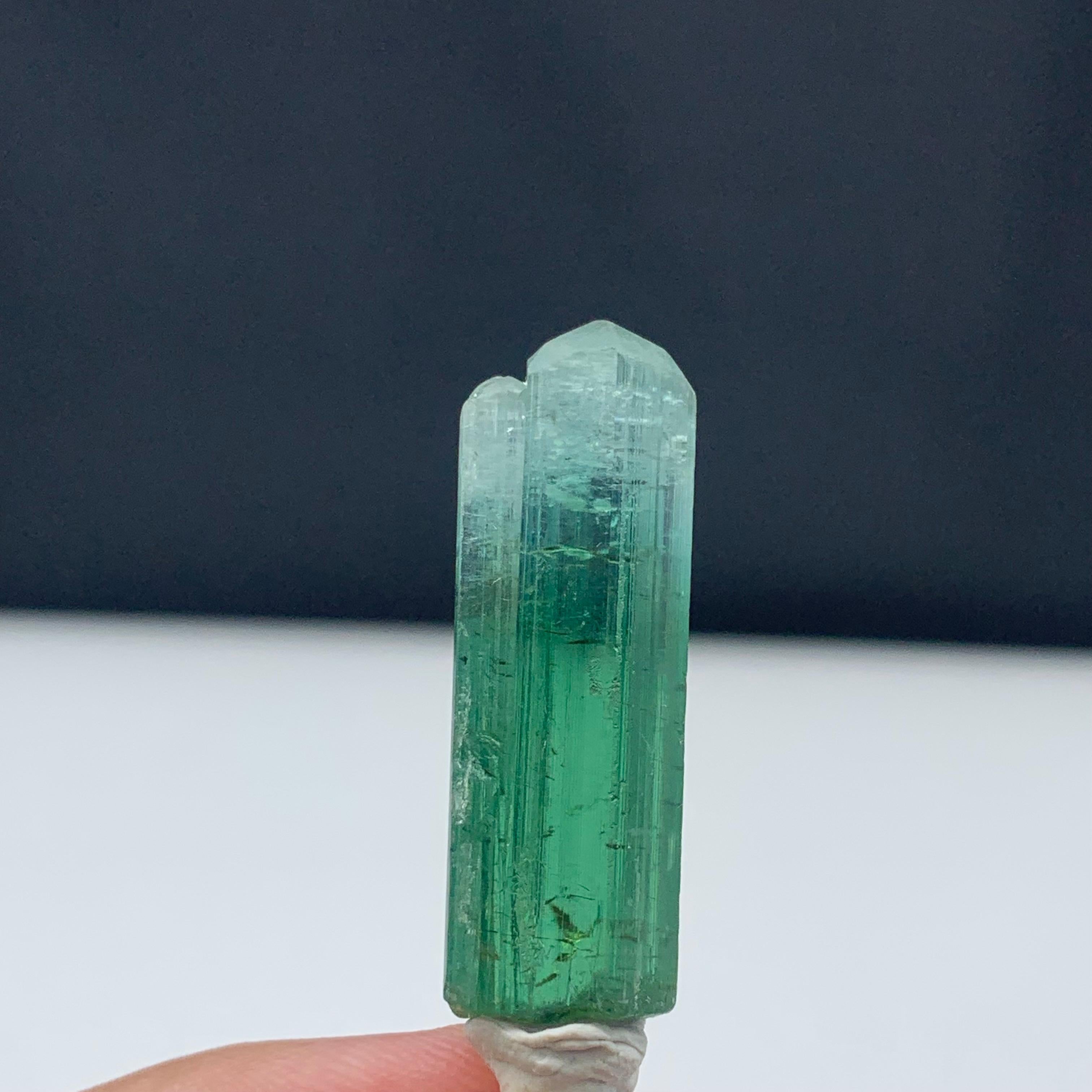 39.70 Carat Attractive Bi Color Tourmaline Crystal from Kunar, Afghanistan  For Sale 3