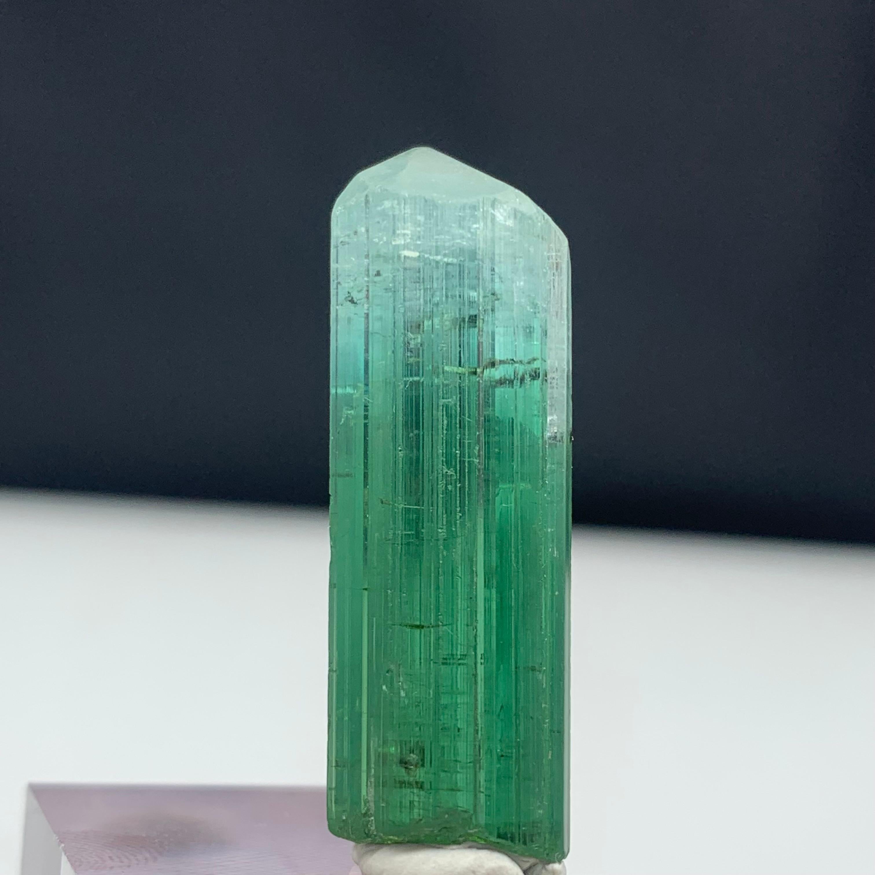 39.70 Carat Attractive Bi Color Tourmaline Crystal from Kunar, Afghanistan  For Sale 4