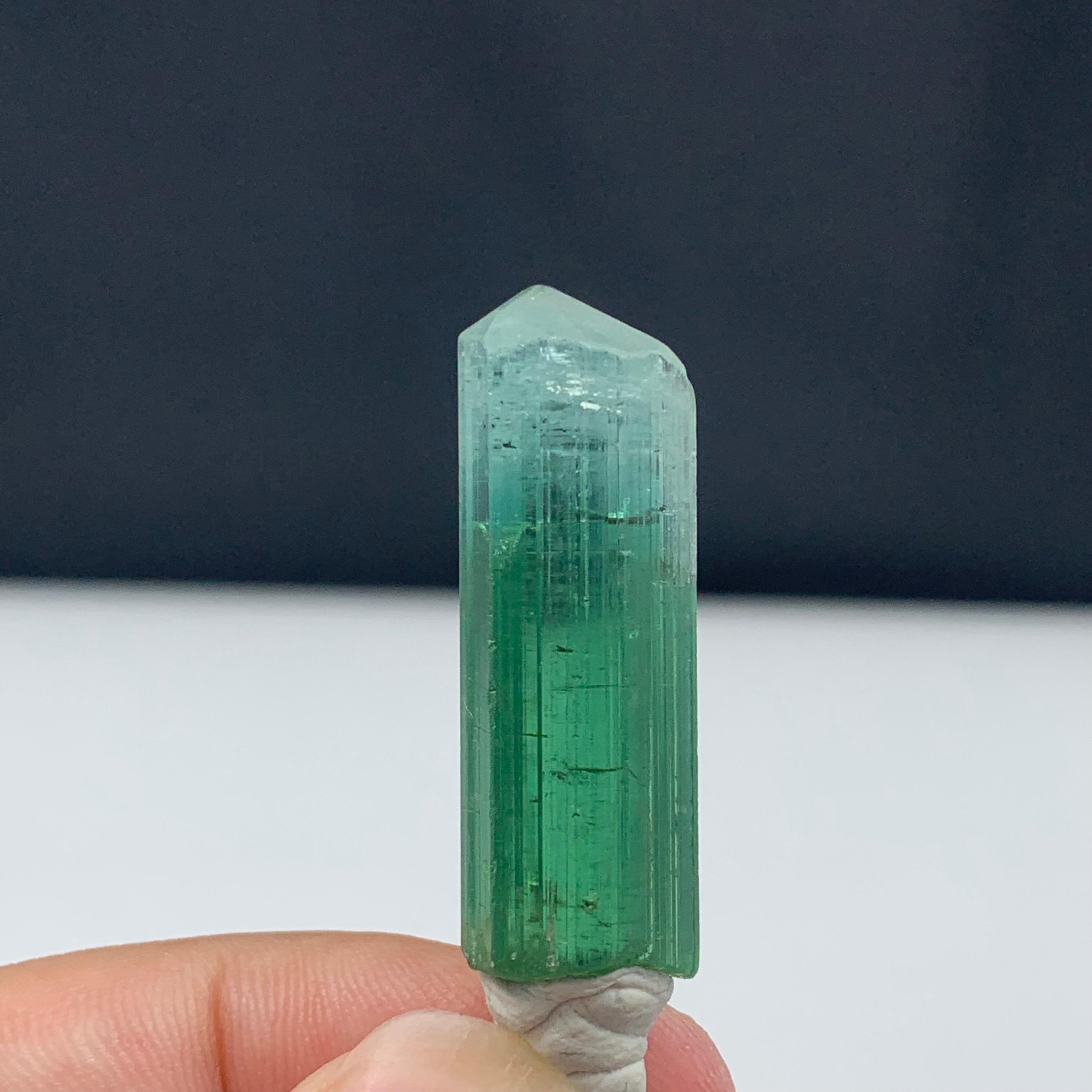 Attractive Bi-Color Tourmaline Crystal from Kunar, Afghanistan
WEIGHT: 39.70 Carat
DIMENSIONS: 3.3 x 1.2 x 1 Cm
ORIGIN: Kunar, Afghanistan
COLOR: Mint Green and Green
TREATMENT: None
Tourmaline is an extremely popular gemstone; the name