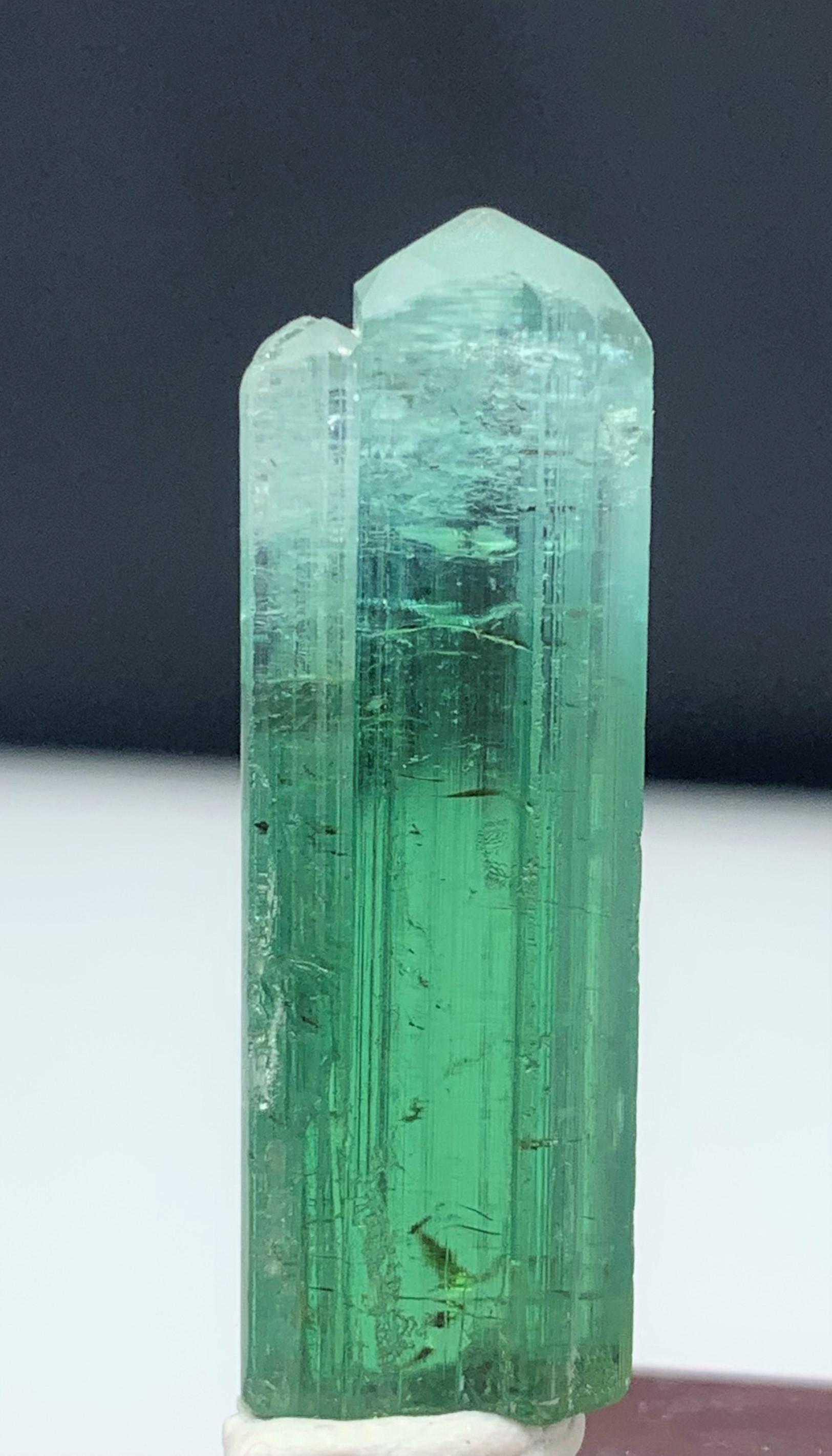 Adam Style 39.70 Carat Attractive Bi Color Tourmaline Crystal from Kunar, Afghanistan  For Sale