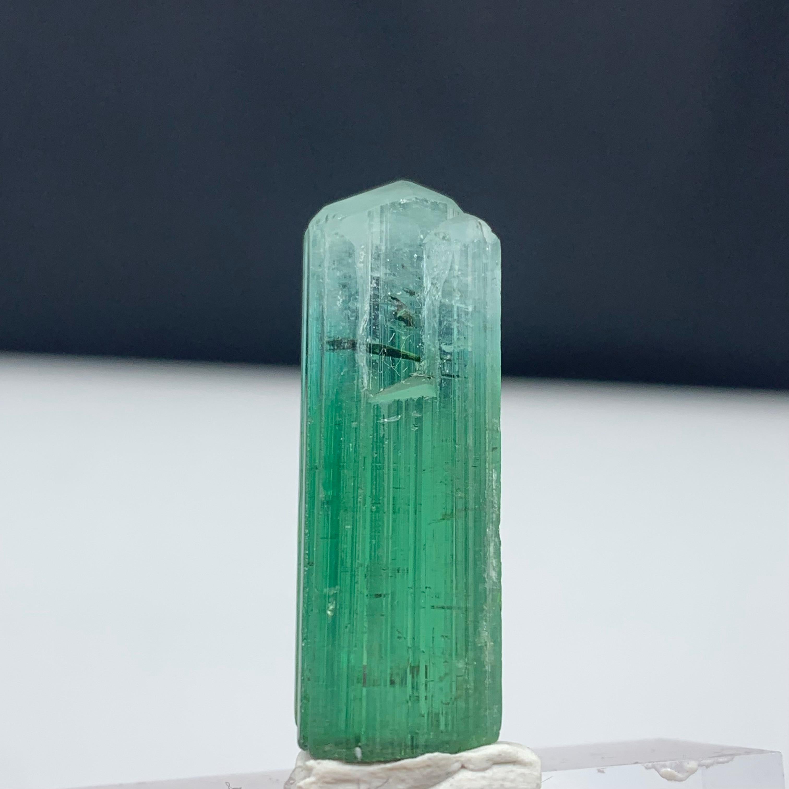 Other 39.70 Carat Attractive Bi Color Tourmaline Crystal from Kunar, Afghanistan  For Sale