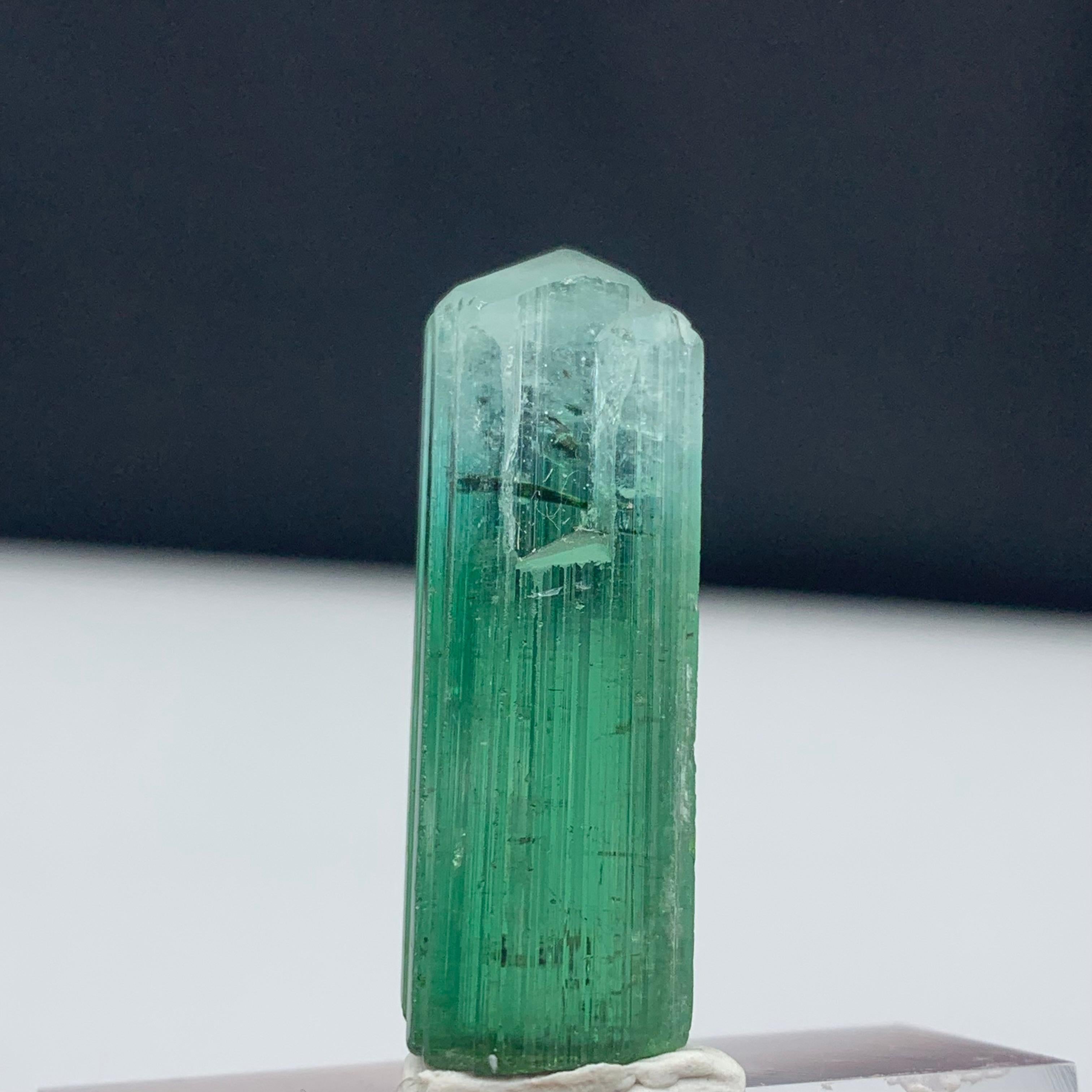 39.70 Carat Attractive Bi Color Tourmaline Crystal from Kunar, Afghanistan  In Good Condition For Sale In Peshawar, PK