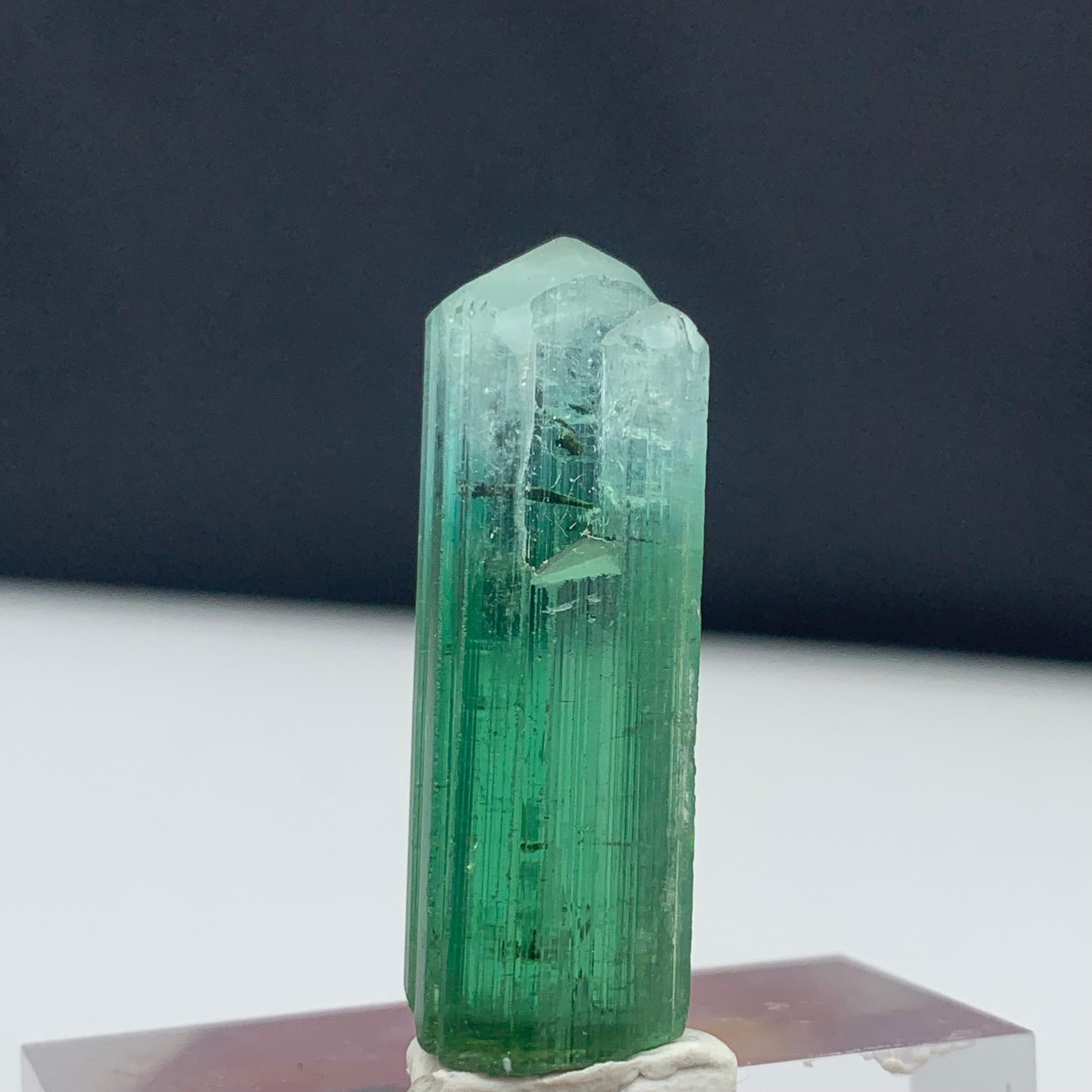 18th Century and Earlier 39.70 Carat Attractive Bi Color Tourmaline Crystal from Kunar, Afghanistan  For Sale