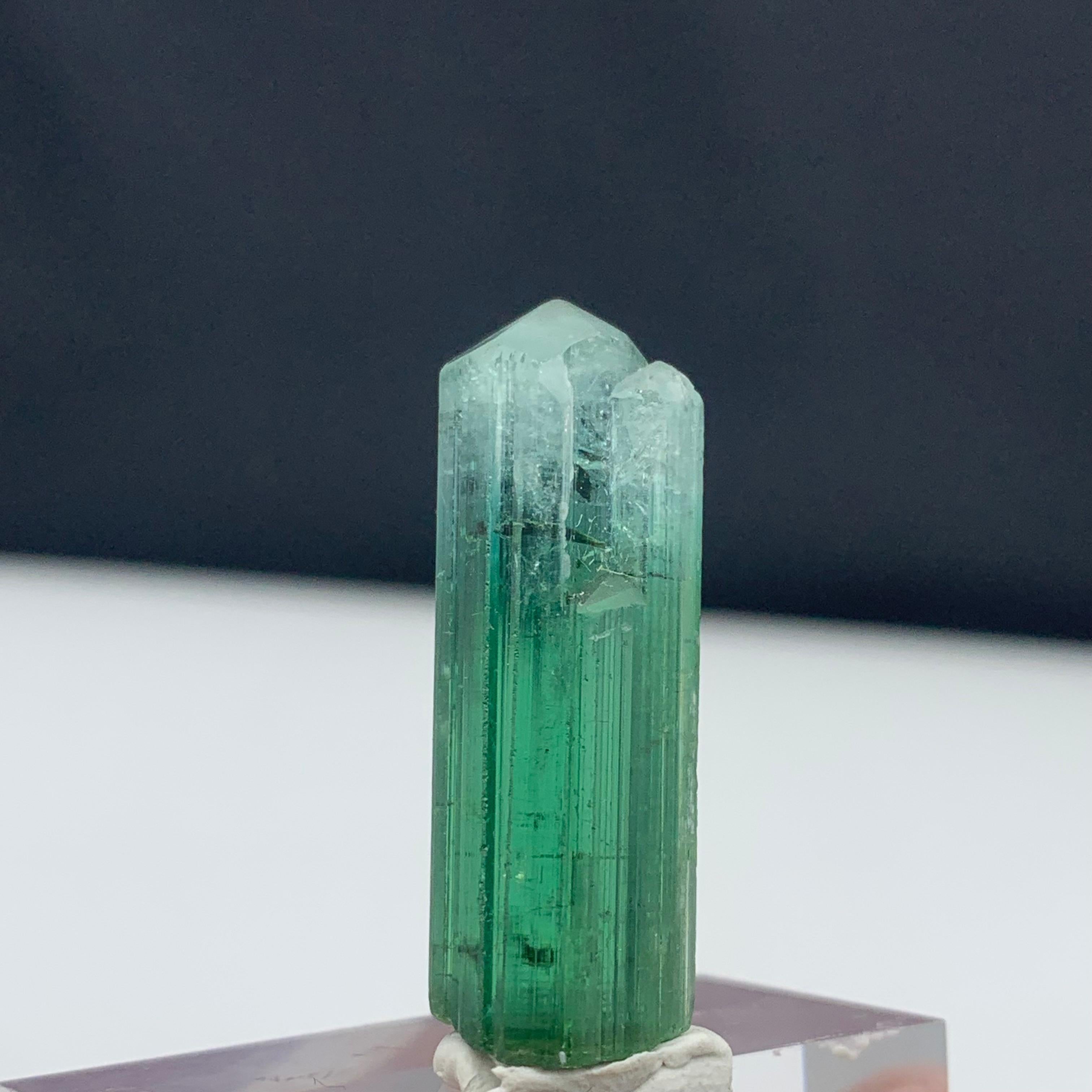Rock Crystal 39.70 Carat Attractive Bi Color Tourmaline Crystal from Kunar, Afghanistan  For Sale