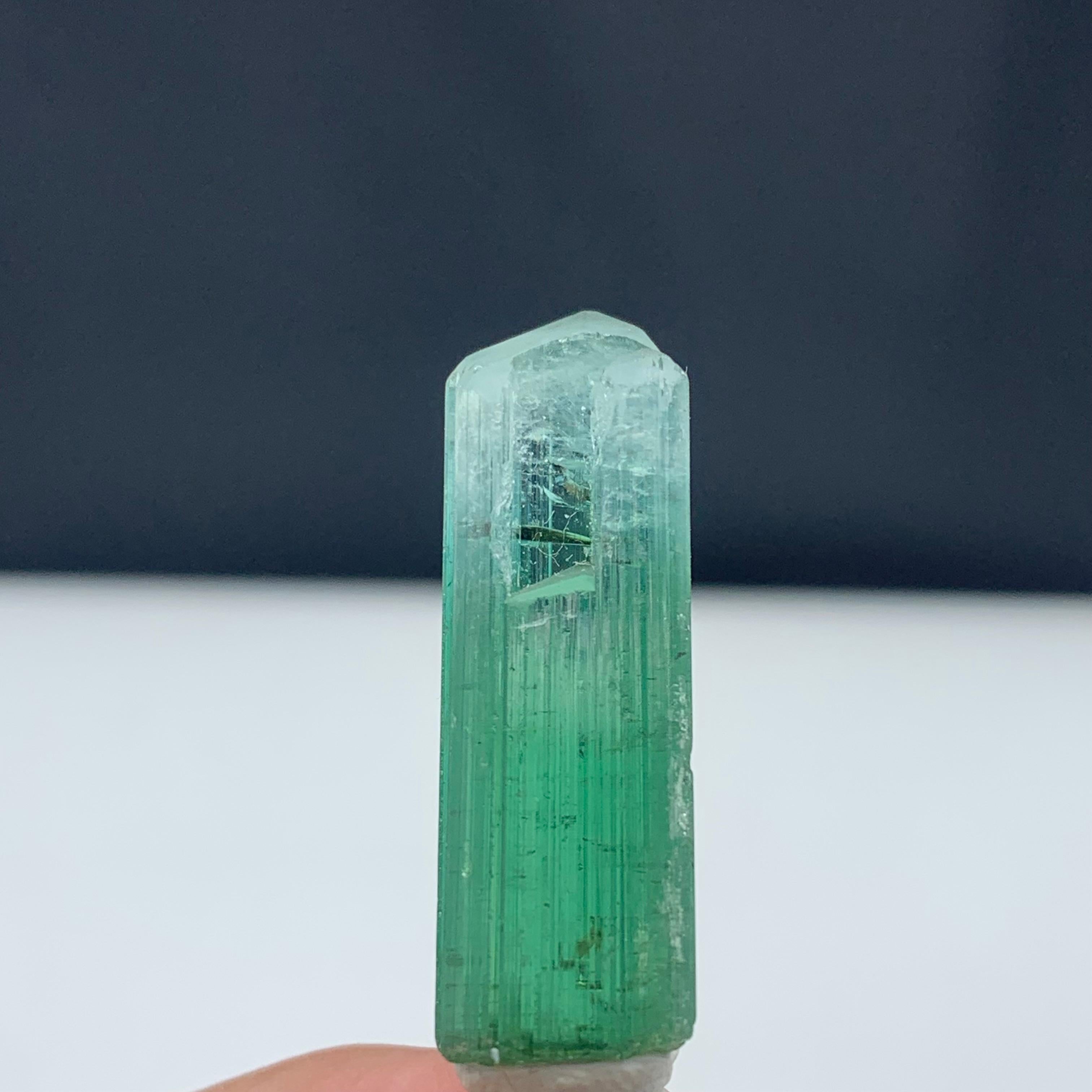 39.70 Carat Attractive Bi Color Tourmaline Crystal from Kunar, Afghanistan  For Sale 1