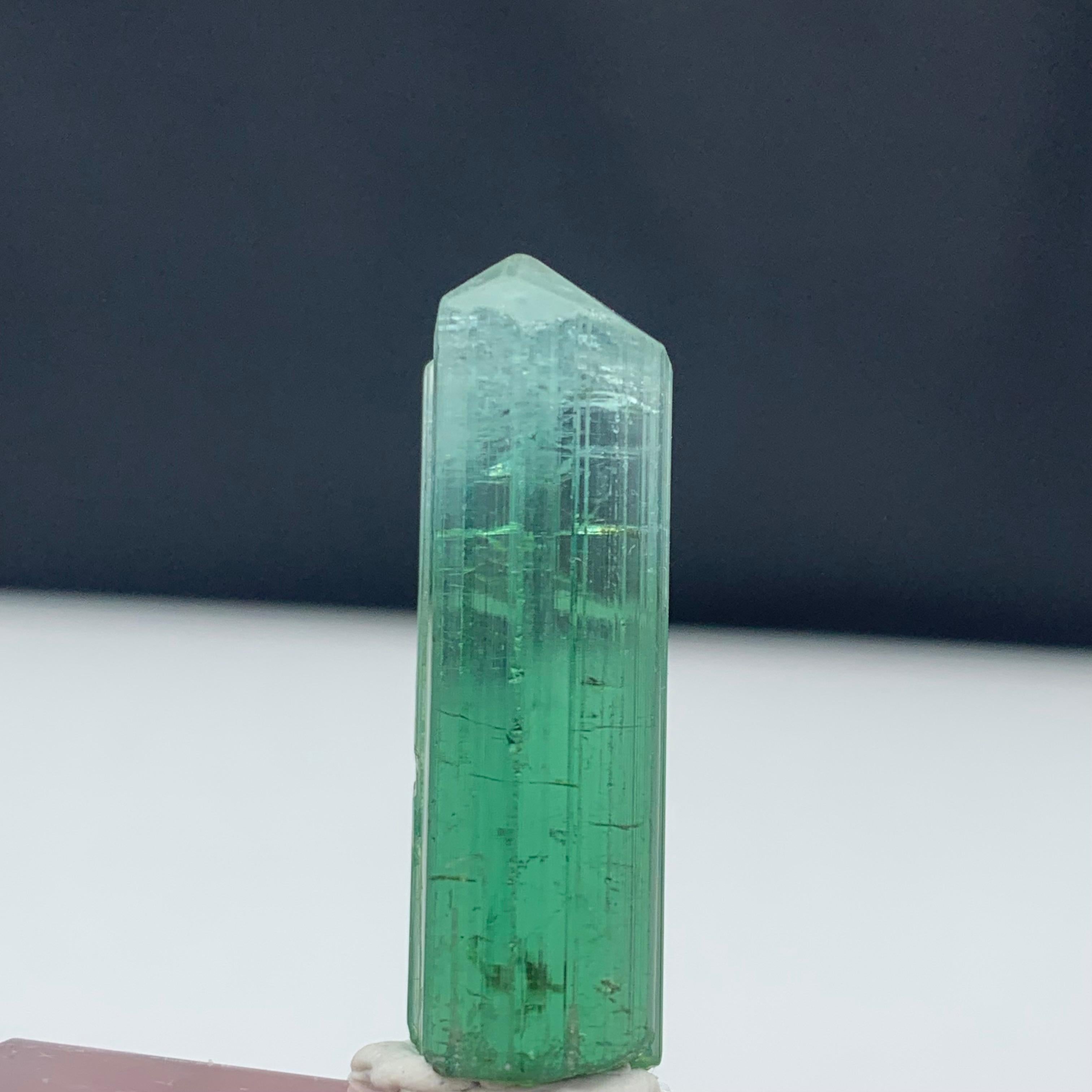 39.70 Carat Attractive Bi Color Tourmaline Crystal from Kunar, Afghanistan  For Sale 2