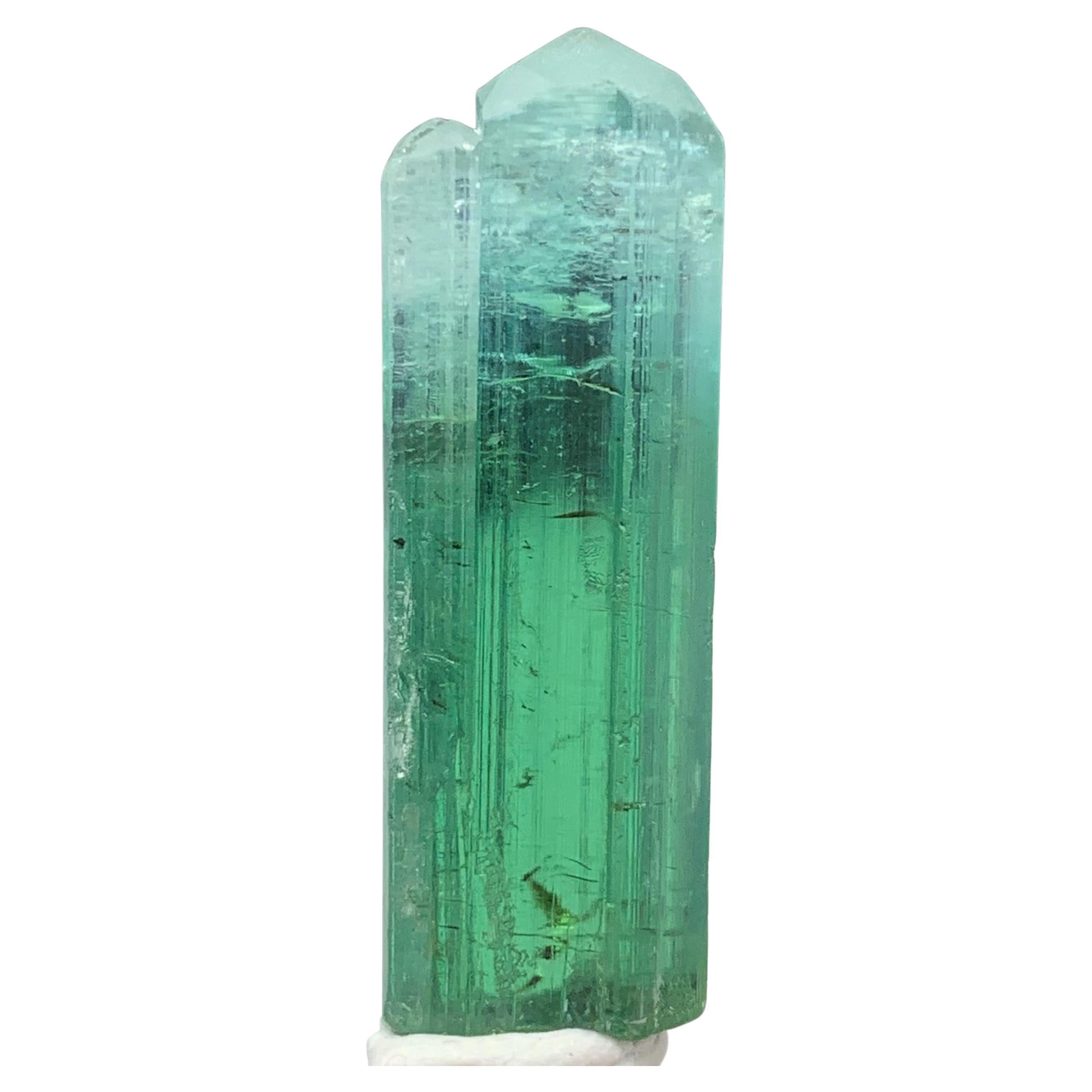 39.70 Carat Attractive Bi Color Tourmaline Crystal from Kunar, Afghanistan  For Sale