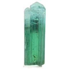 39.70 Carat Attractive Bi Color Tourmaline Crystal from Kunar, Afghanistan 