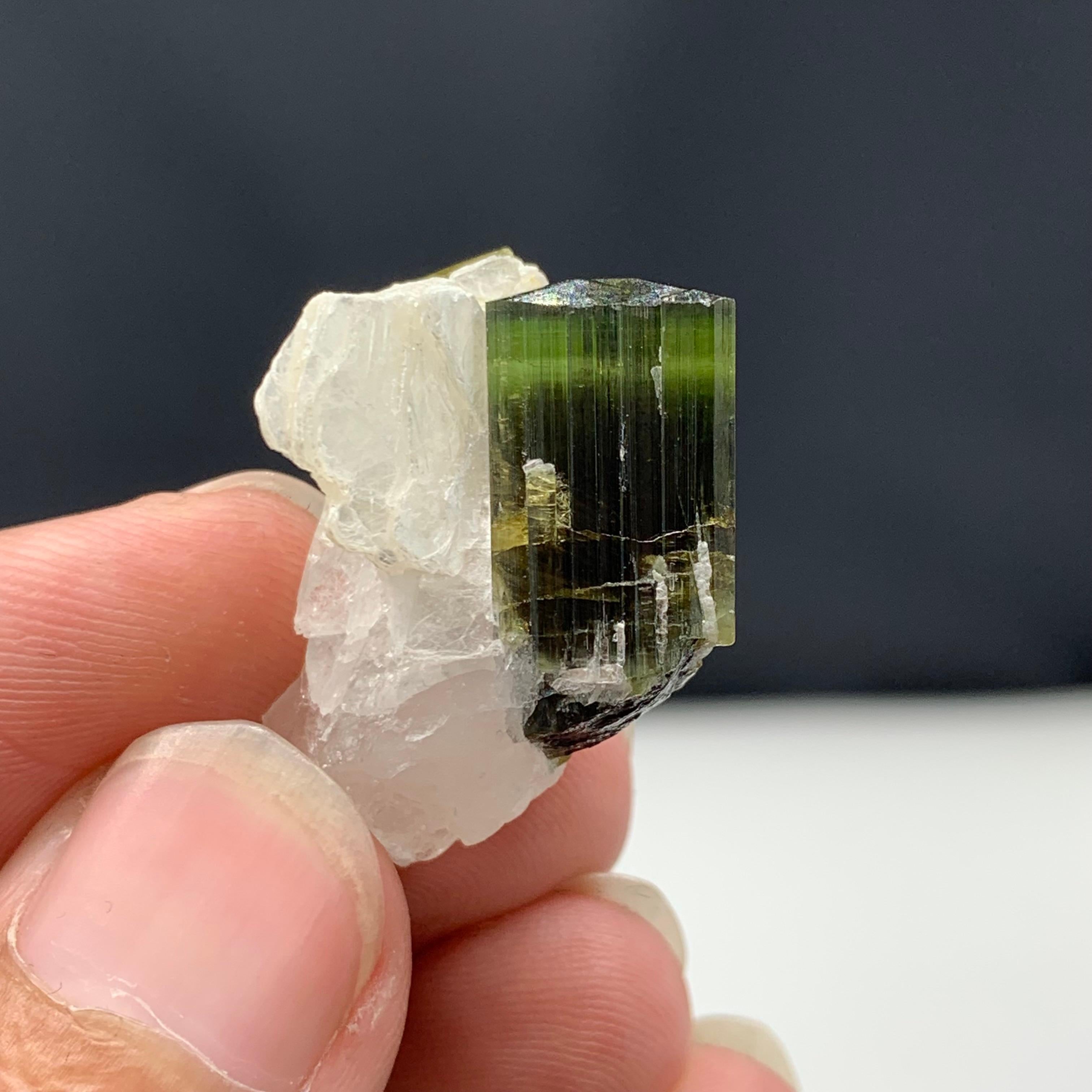 39.95 Carat Pretty Tourmaline with Albite Specimen From Skardu, Pakistan  For Sale 2