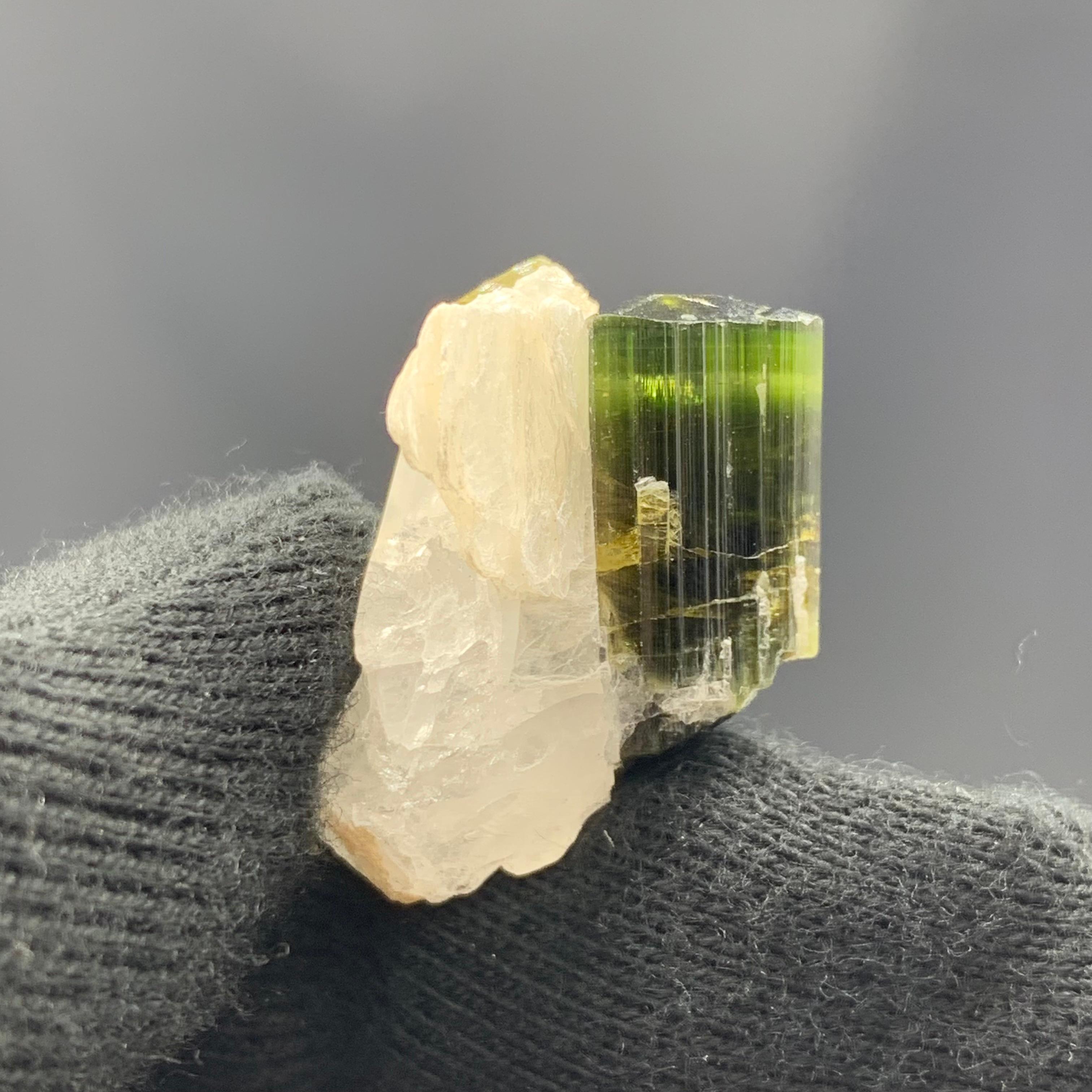 39.95 Carat Pretty Tourmaline with Albite Specimen From Skardu, Pakistan 

Weight: 39.95 Carat 
Dimension: 2.5 x 1.6 x 2.2 Cm
Origin: Stak Nala Valley, Skardu, Pakistan 

Tourmaline is a crystalline silicate mineral group in which boron is