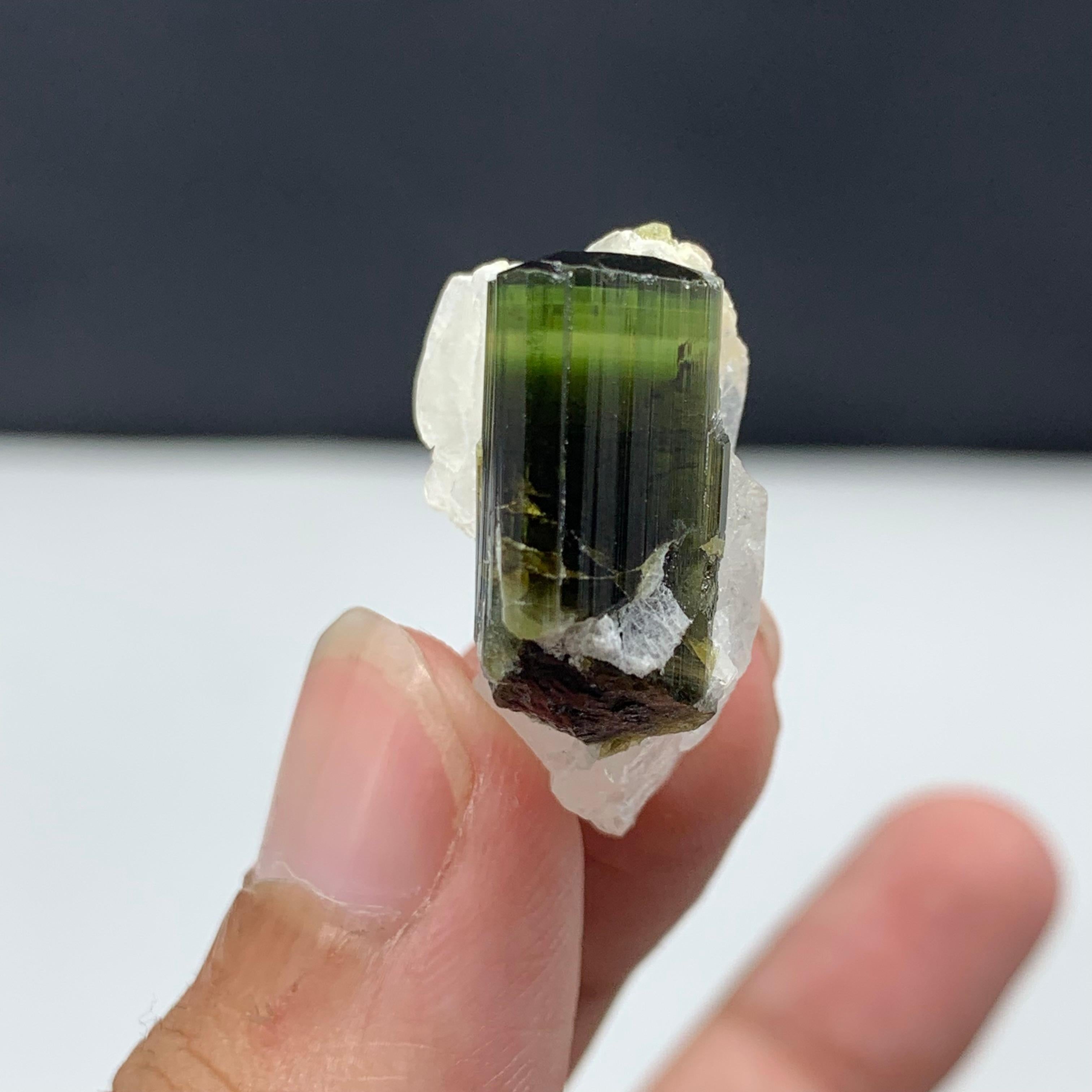 18th Century and Earlier 39.95 Carat Pretty Tourmaline with Albite Specimen From Skardu, Pakistan  For Sale