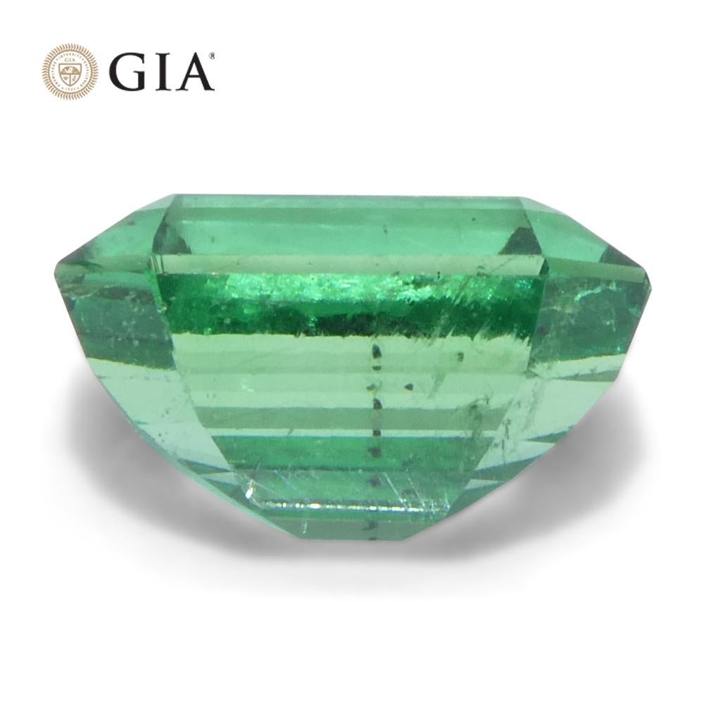 3ct Octagonal/Emerald Cut Green Emerald GIA Certified Zambia (F1) en vente 2