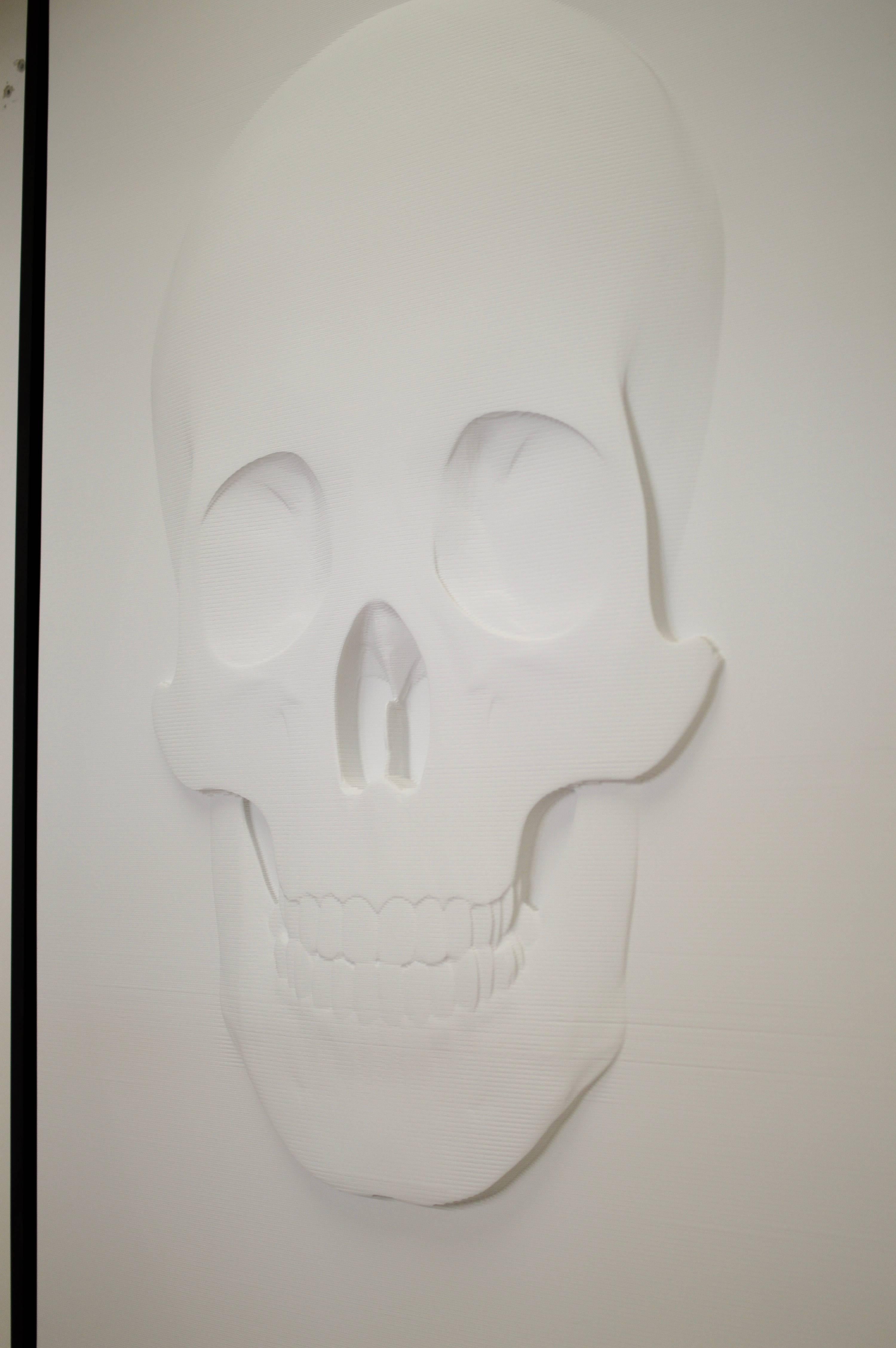 Composition 3D Skull Portrait 