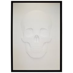 3D Skull Portrait "How They See Us" by Samuel Greg, 2018