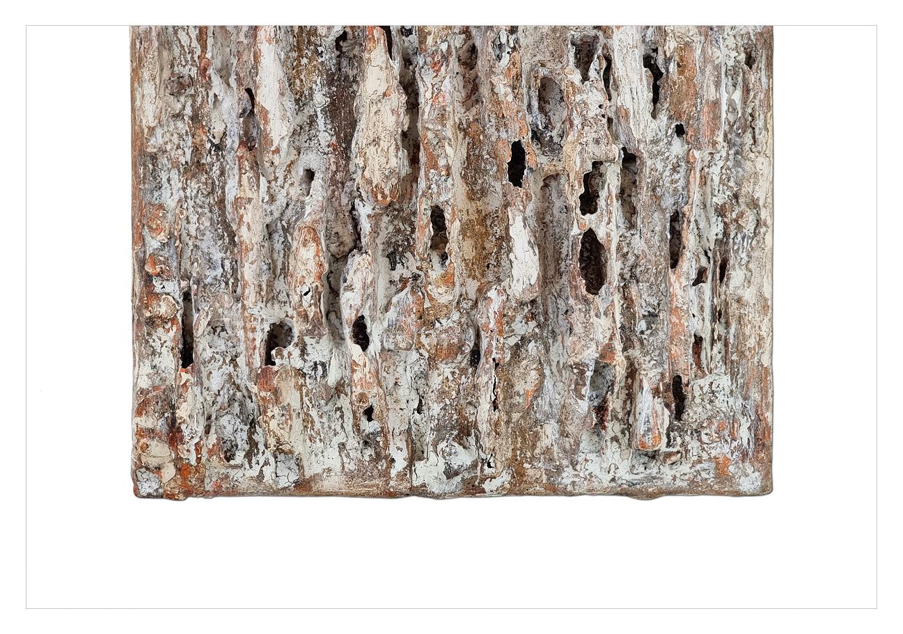 Sculture 3D da parete 