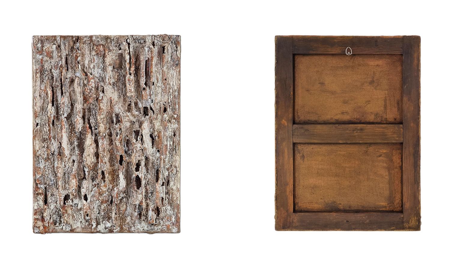 Sculture 3D da parete 