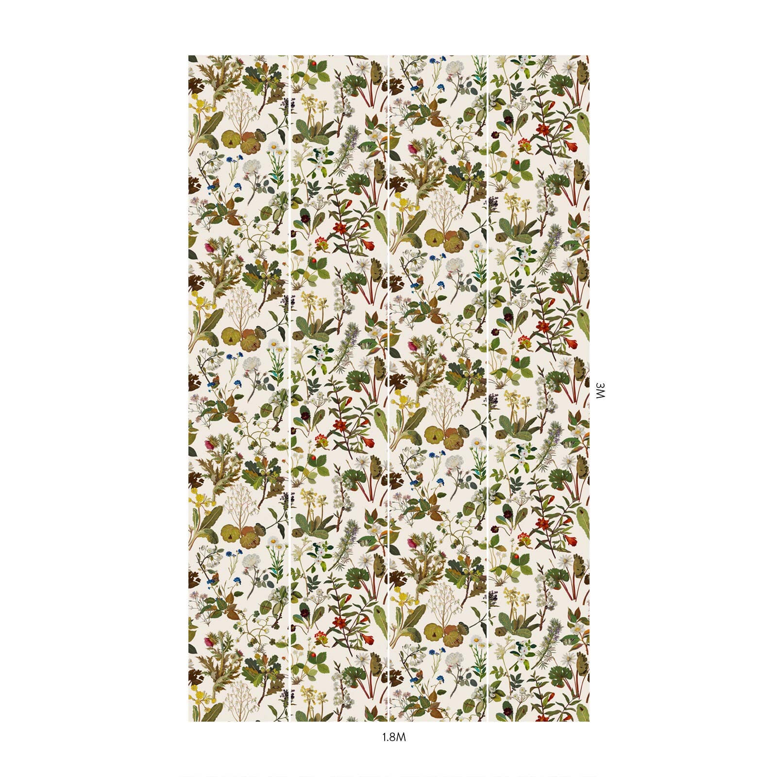 Art imitates nature across HERBARIUM: our reimagining of the exquisite floral mosaics by Mary Delany. The epitome of a late bloomer, the 18th century English artist began crafting her series of 985 extraordinarily detailed collages at the age of 72.