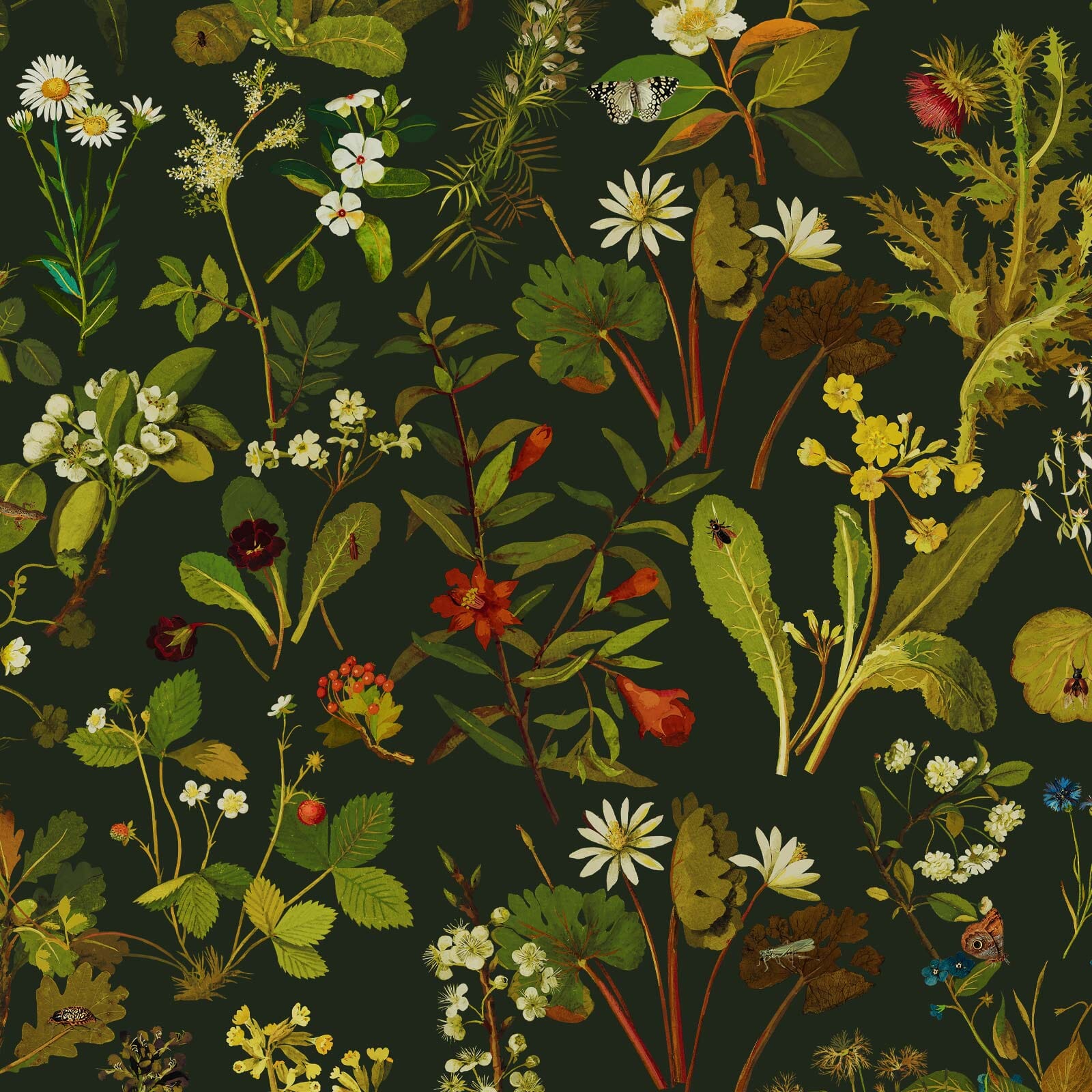 HERBARIUM Wallpaper - Forest Green-Spruce For Sale
