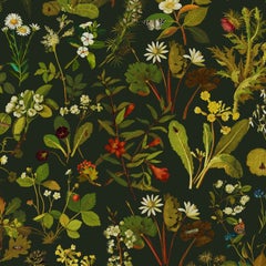 HERBARIUM Wallpaper - Forest Green-Spruce