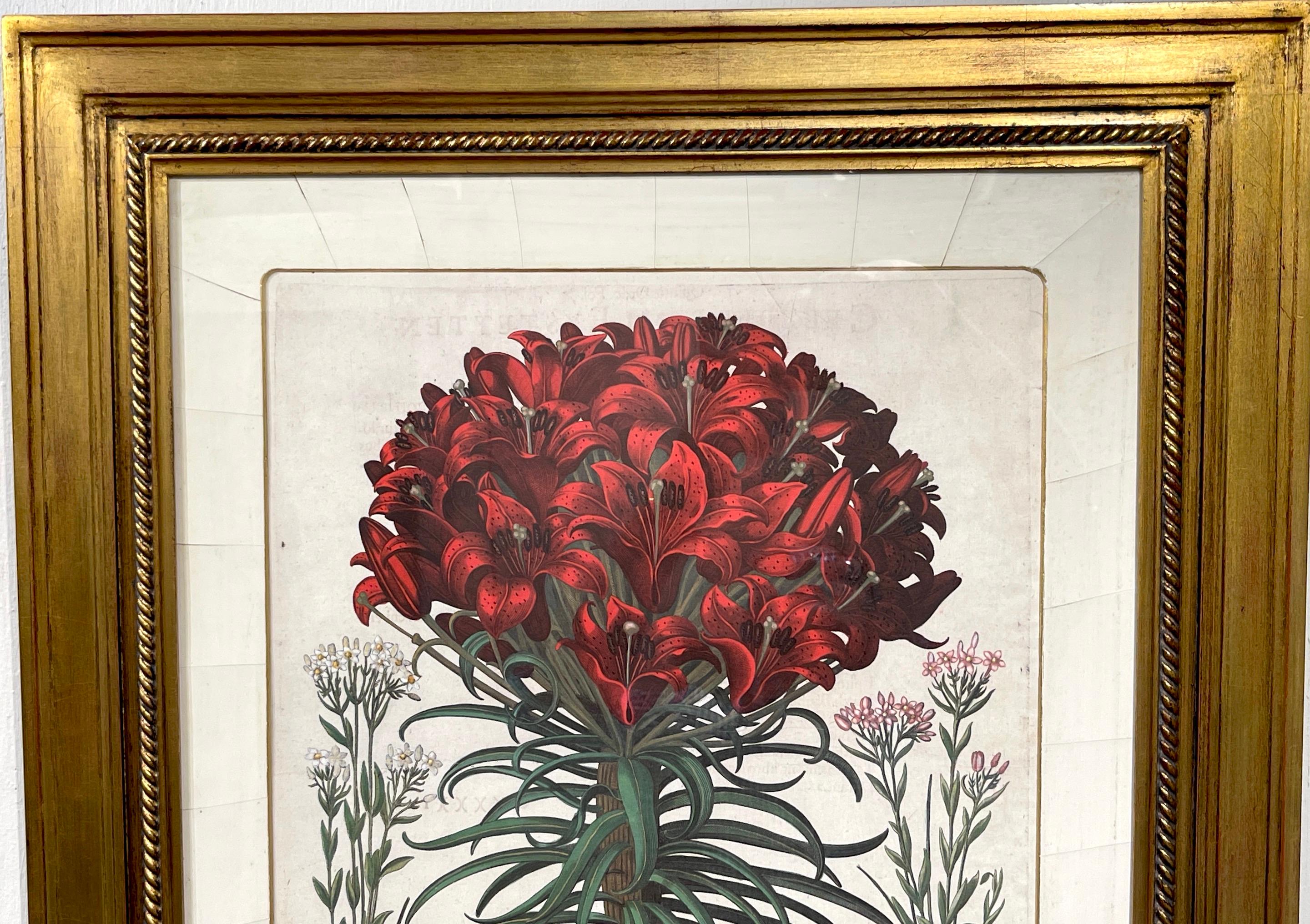 4 Antique Basilius Besler Botanical Prints Framed Custom Parchment Mats For Sale 7