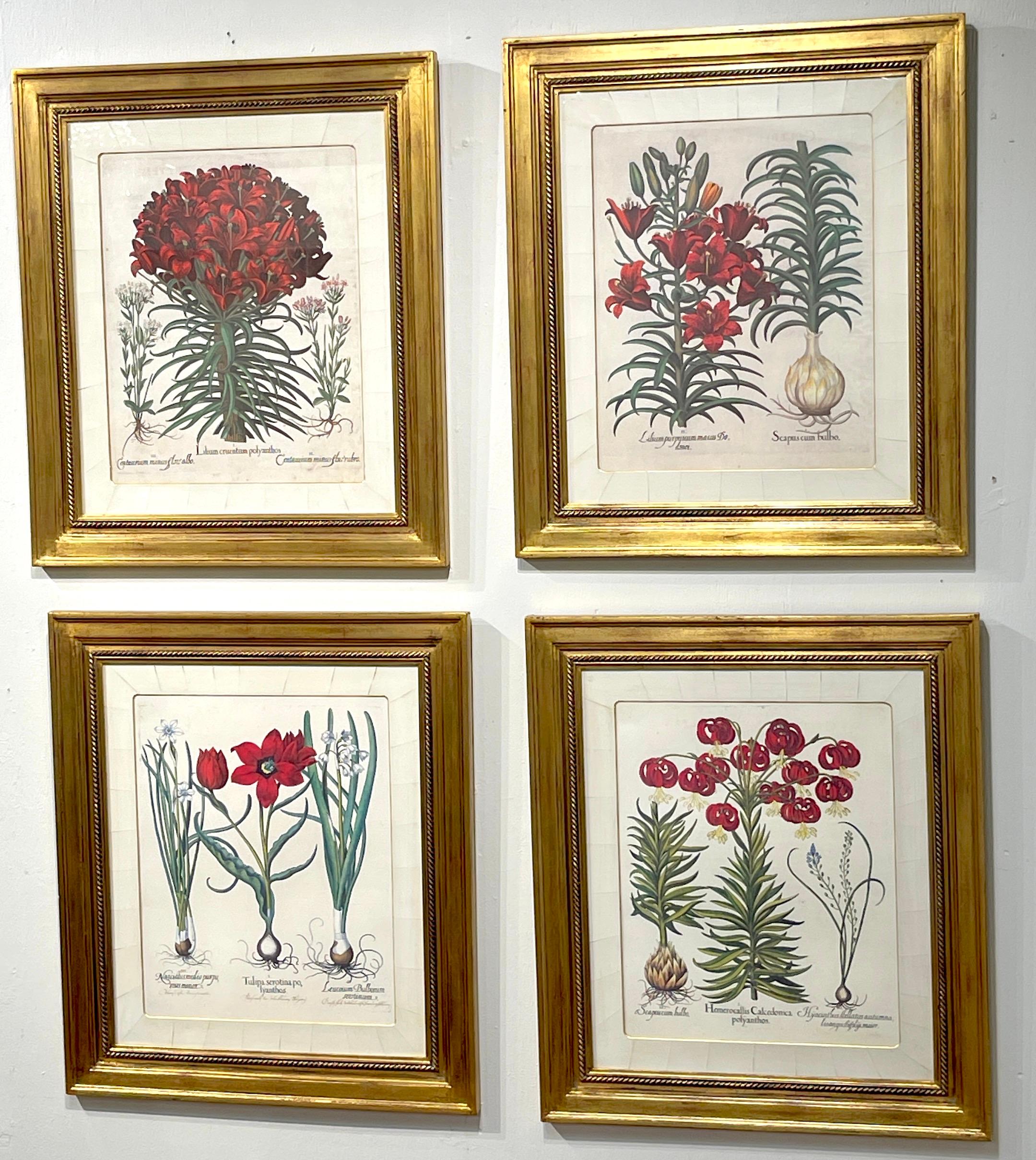 4 Antique Basilius Besler Botanical Prints Framed Custom Parchment Mats For Sale 9