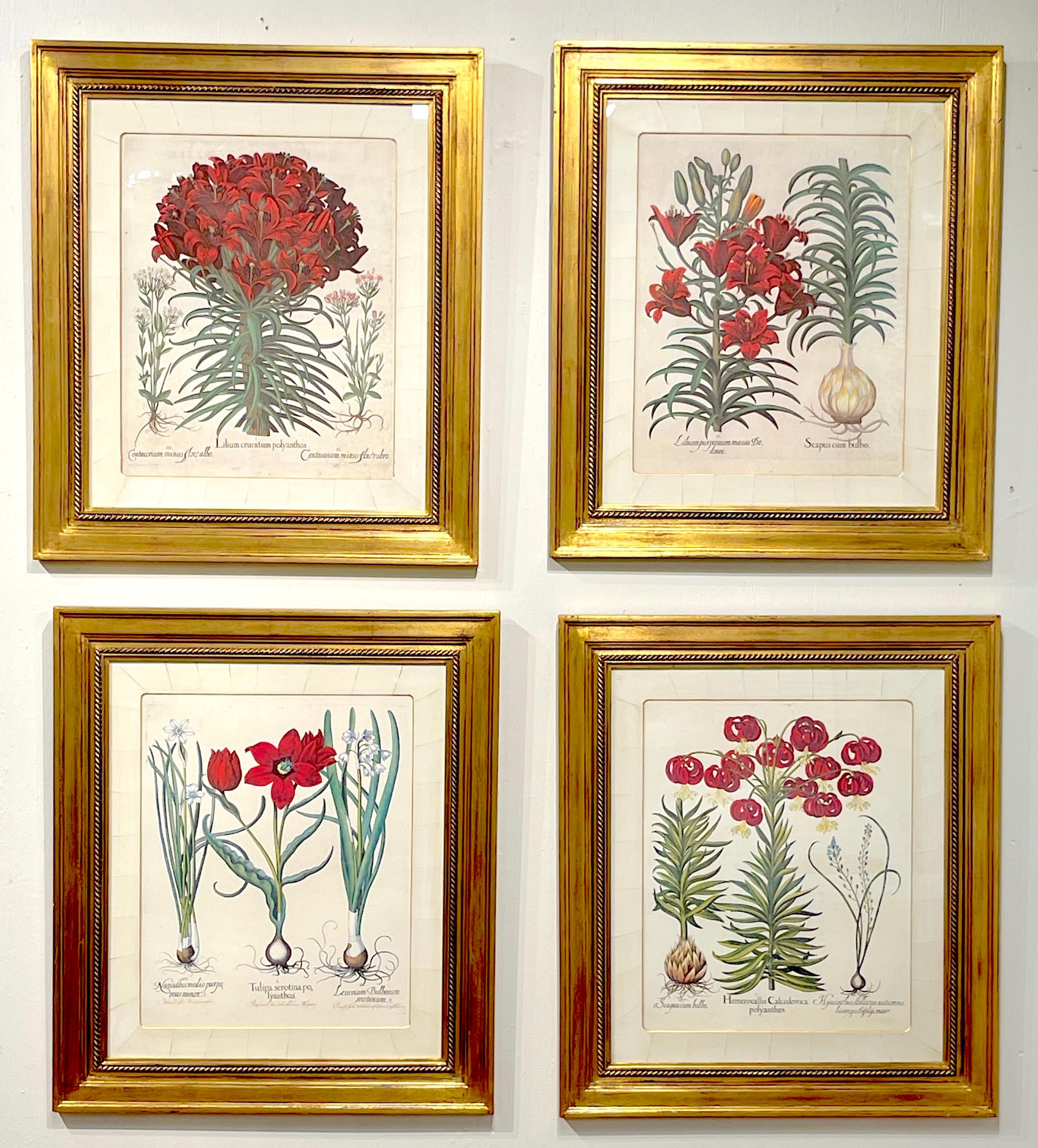 Set of Four Antique Basilius Besler Botanical Prints With Custom Parchment Mats, sold as a set of four only.
Basilius Besler (1561-1629)

This custom framed set of  botanicals comprises four exquisite antique Basilius Besler botanical prints,