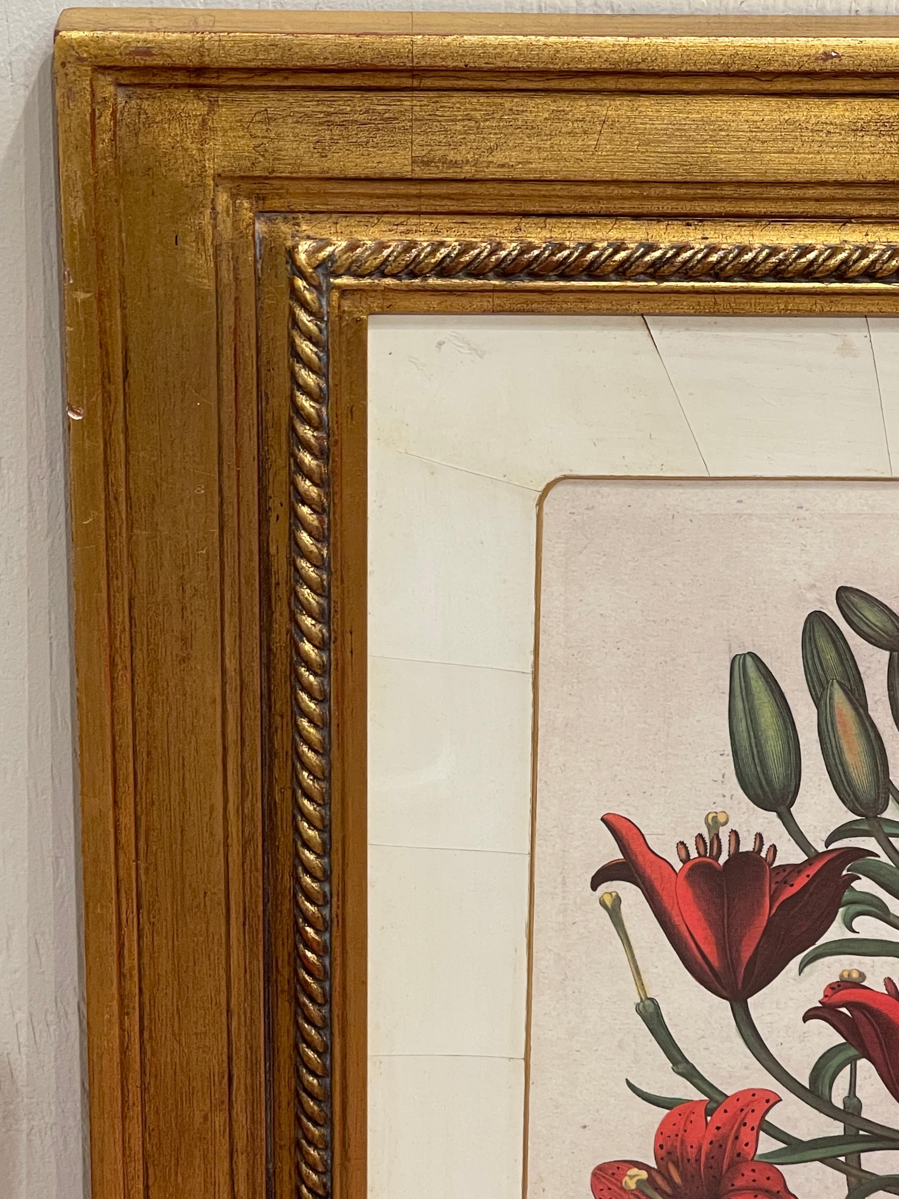 4 Antique Basilius Besler Botanical Prints Framed Custom Parchment Mats In Good Condition In West Palm Beach, FL