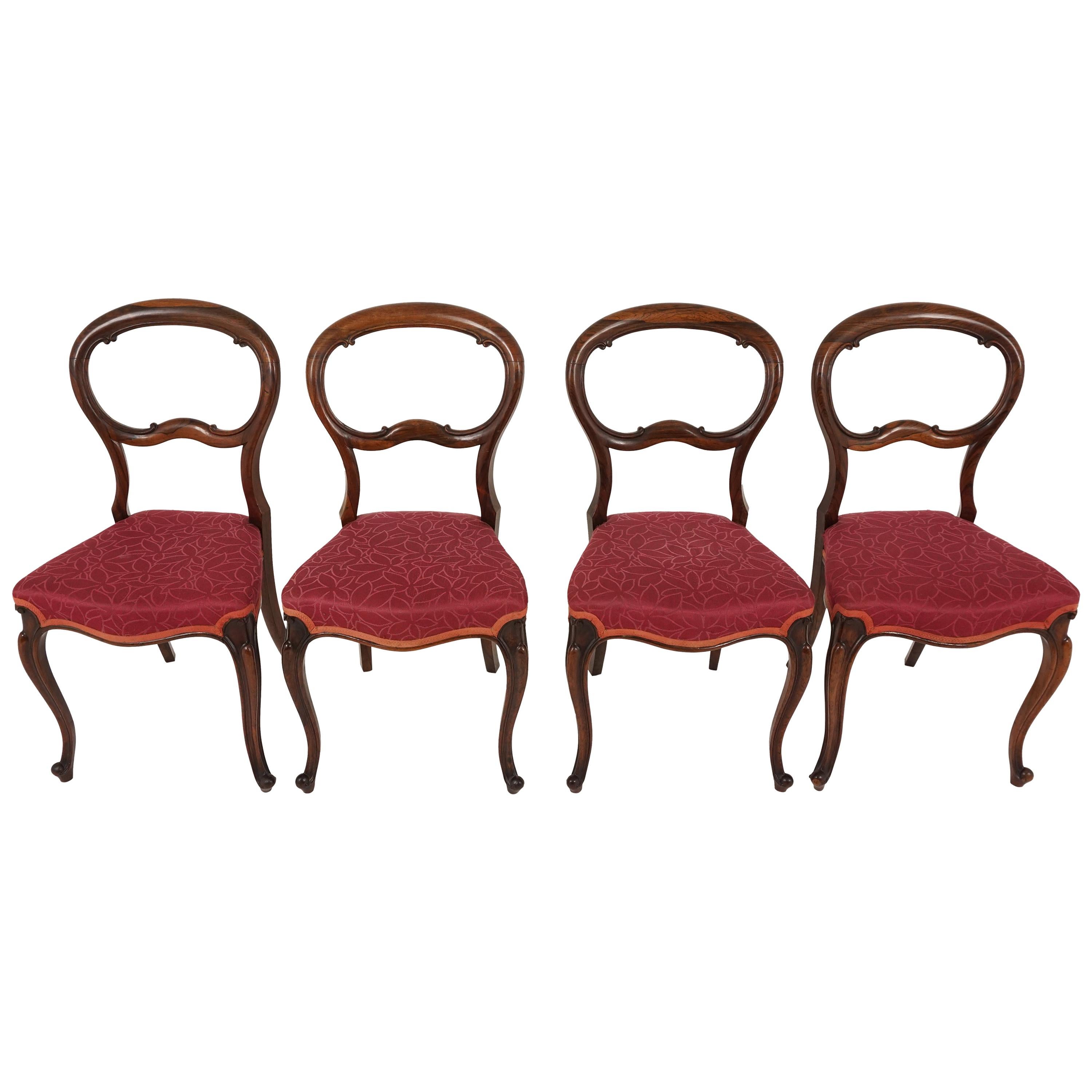 4 Antique Victorian Rosewood Balloon Back Dining Chairs, Scotland 1870, B2161