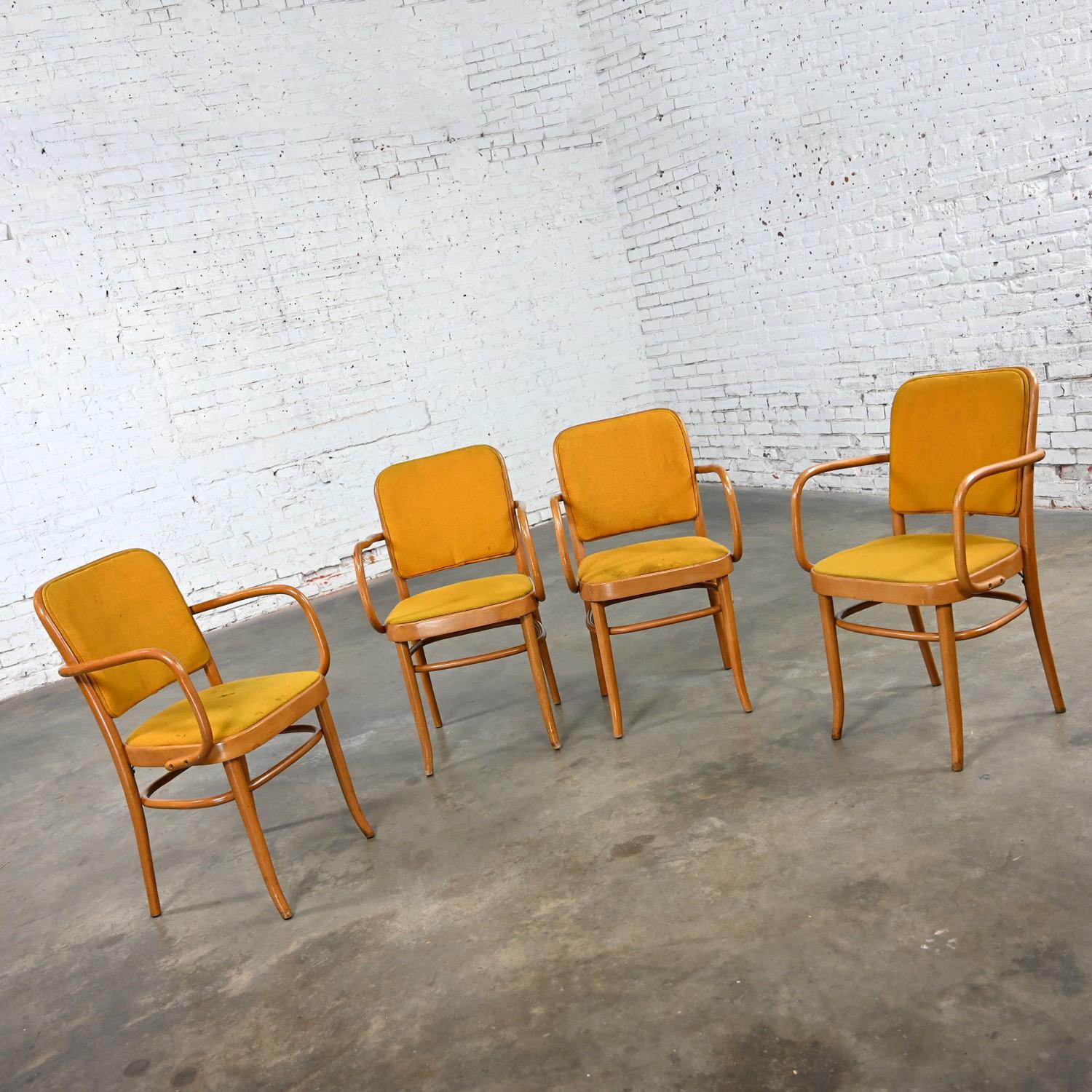4 gebogene Bauhaus-Esszimmerstühle aus Buche und Bugholz J Hoffman Prag 811 im Stil Thonet im Angebot 3