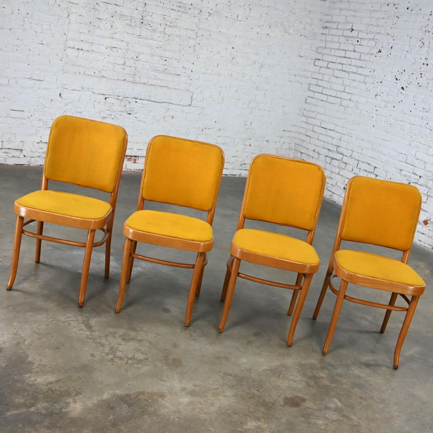 4 Armless Bauhaus Beech Bentwood Hoffman Prague 811 Dining Chairs Style Thonet For Sale 4