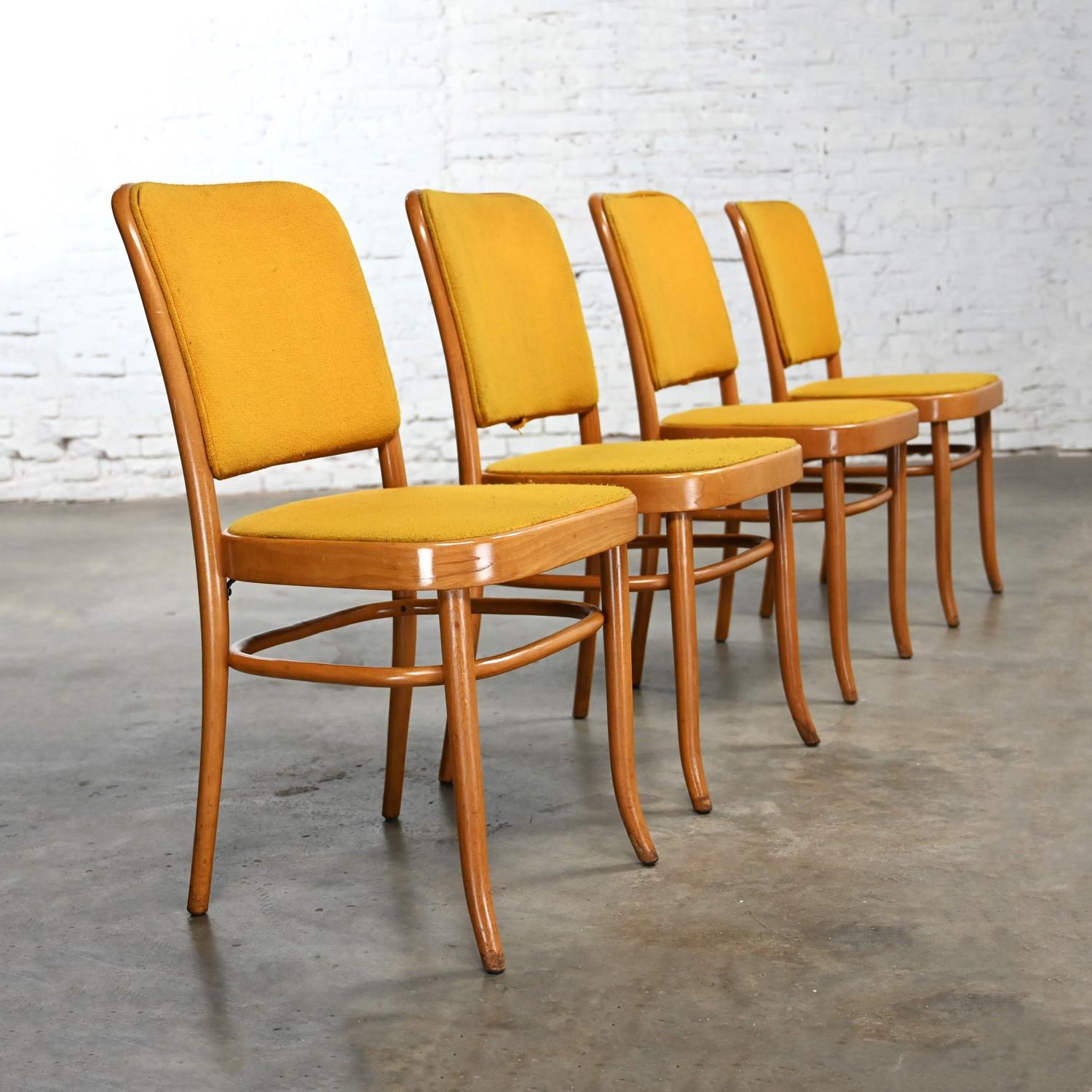 4 Armless Bauhaus Beech Bentwood Hoffman Prague 811 Dining Chairs Style Thonet For Sale 10