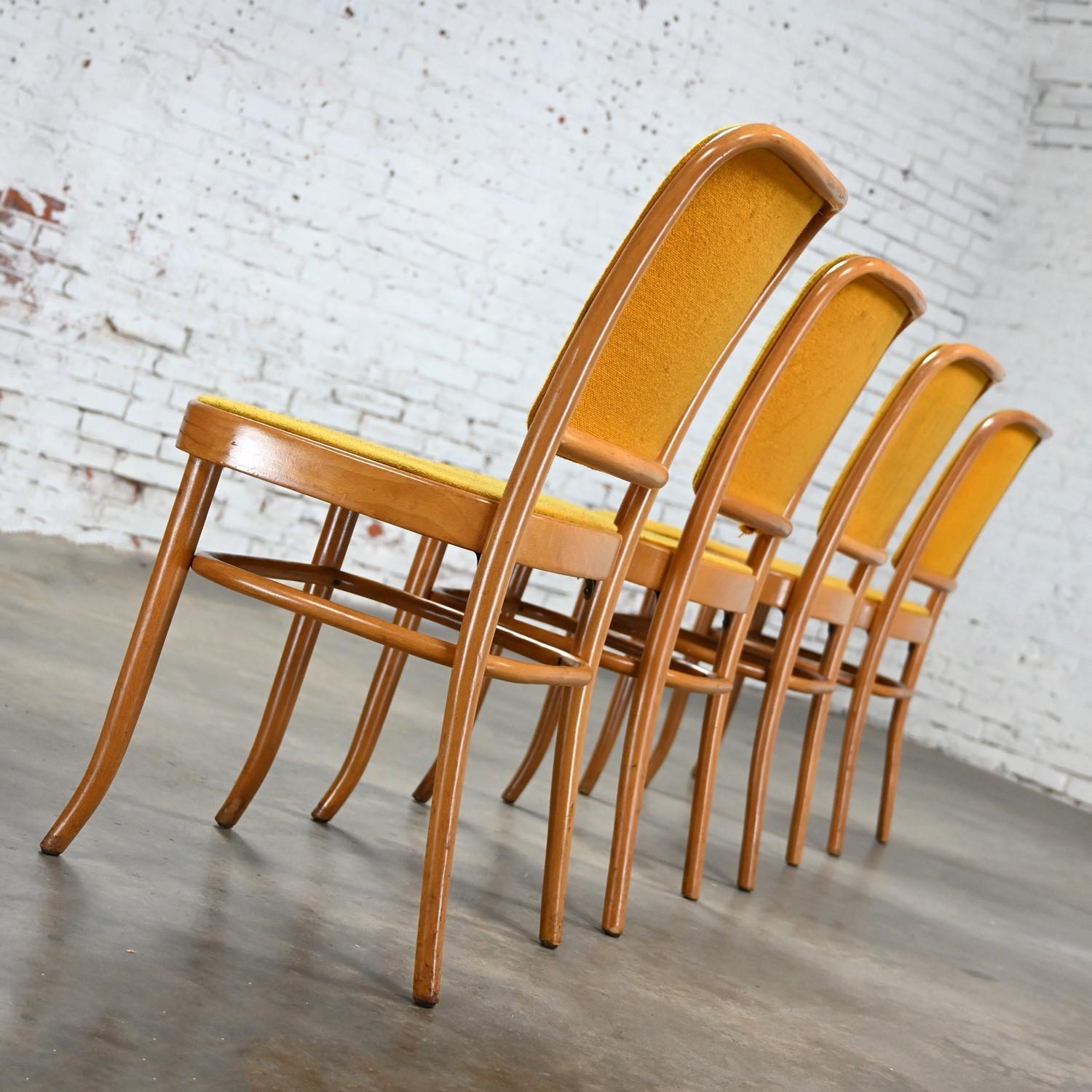 4 armlose Bauhaus-Esszimmerstühle aus Buche und Bugholz Hoffman Prag 811 im Stil Thonet (Mazedonisch) im Angebot