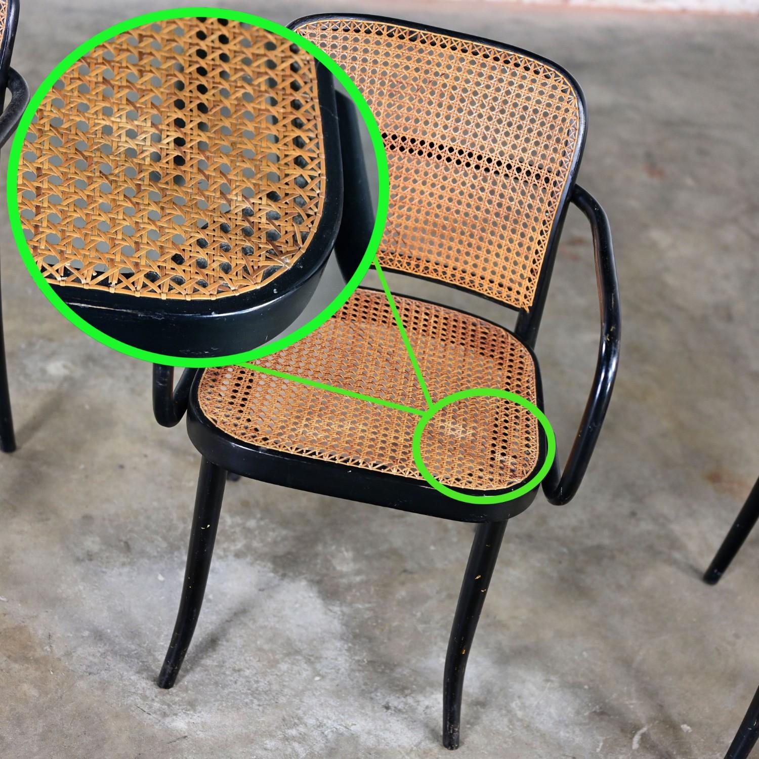 4 fauteuils Josef Hoffman Prague 811 pour Stendig par Thonet en vente 8