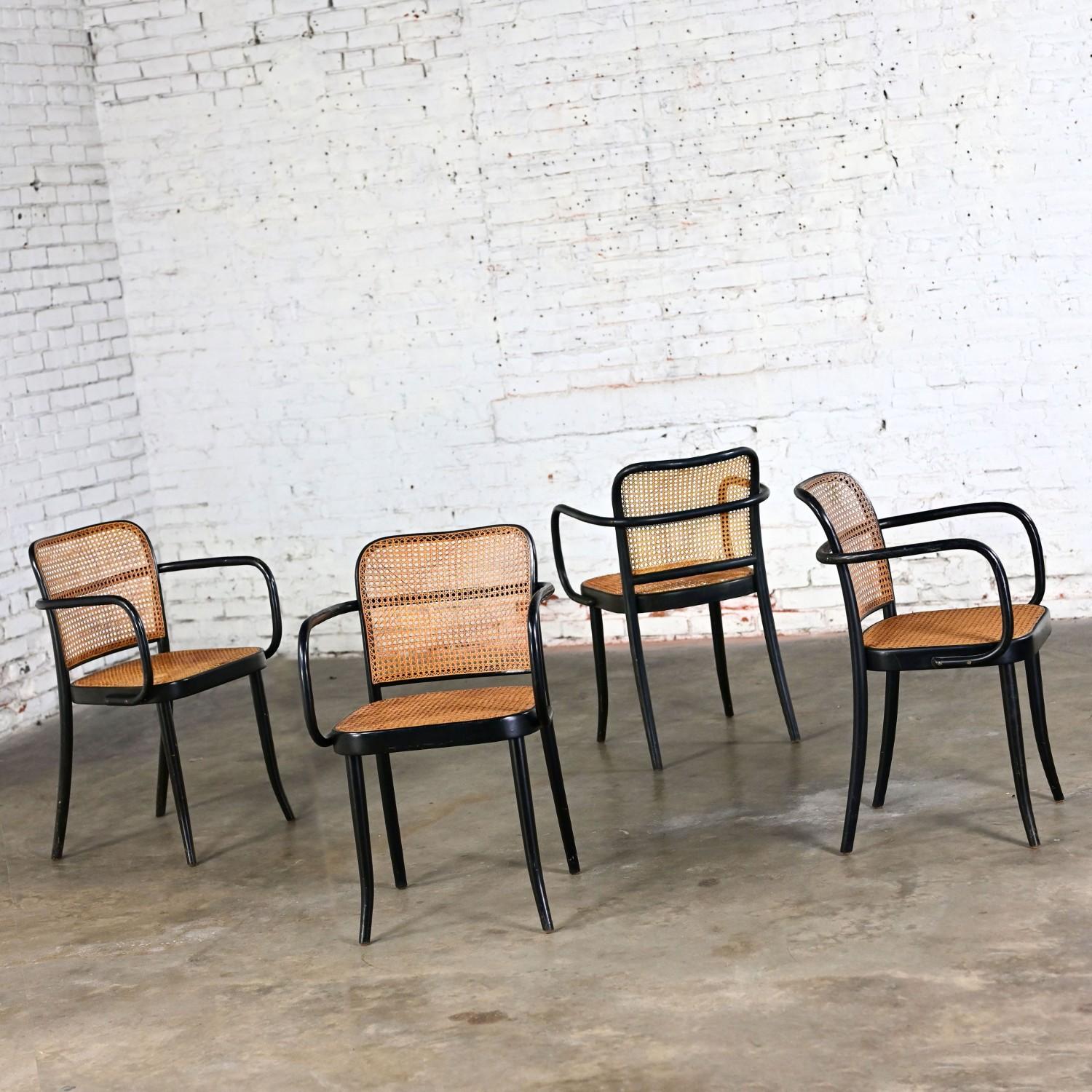 4 fauteuils Josef Hoffman Prague 811 pour Stendig par Thonet Bon état - En vente à Topeka, KS