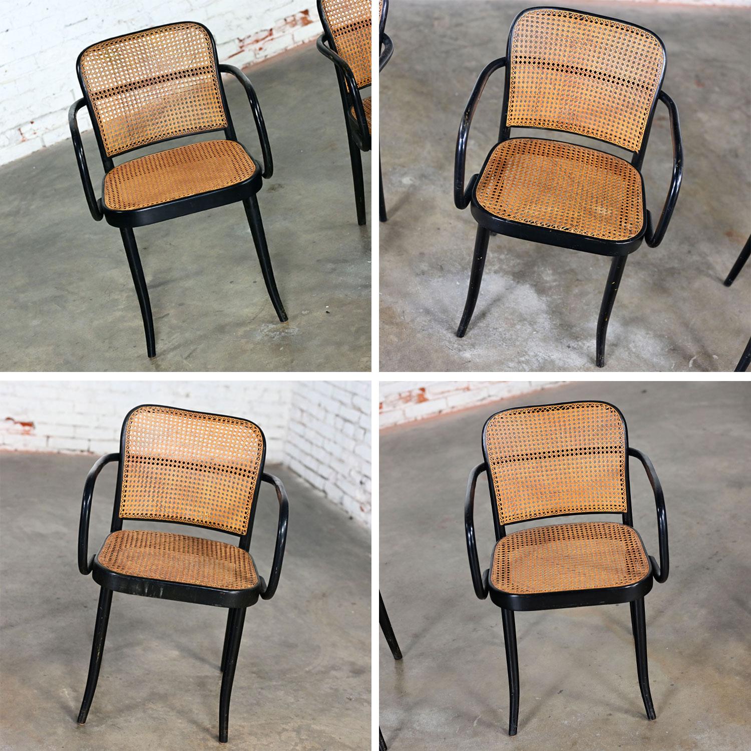 20ième siècle 4 fauteuils Josef Hoffman Prague 811 pour Stendig par Thonet en vente