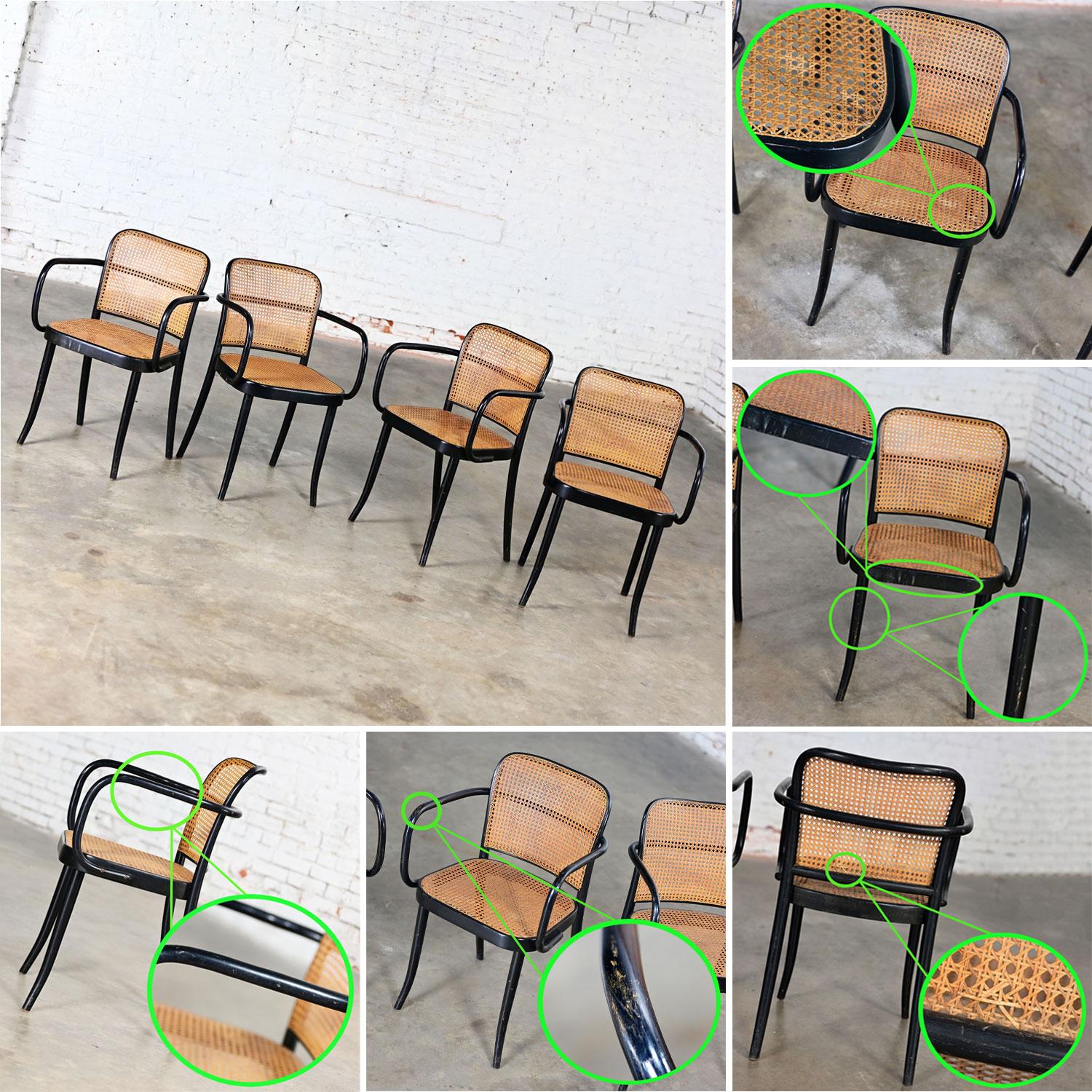 4 fauteuils Josef Hoffman Prague 811 pour Stendig par Thonet en vente 1