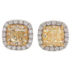 4 Carat Fancy Yellow Cushion Cut Diamond Halo Stud Earrings