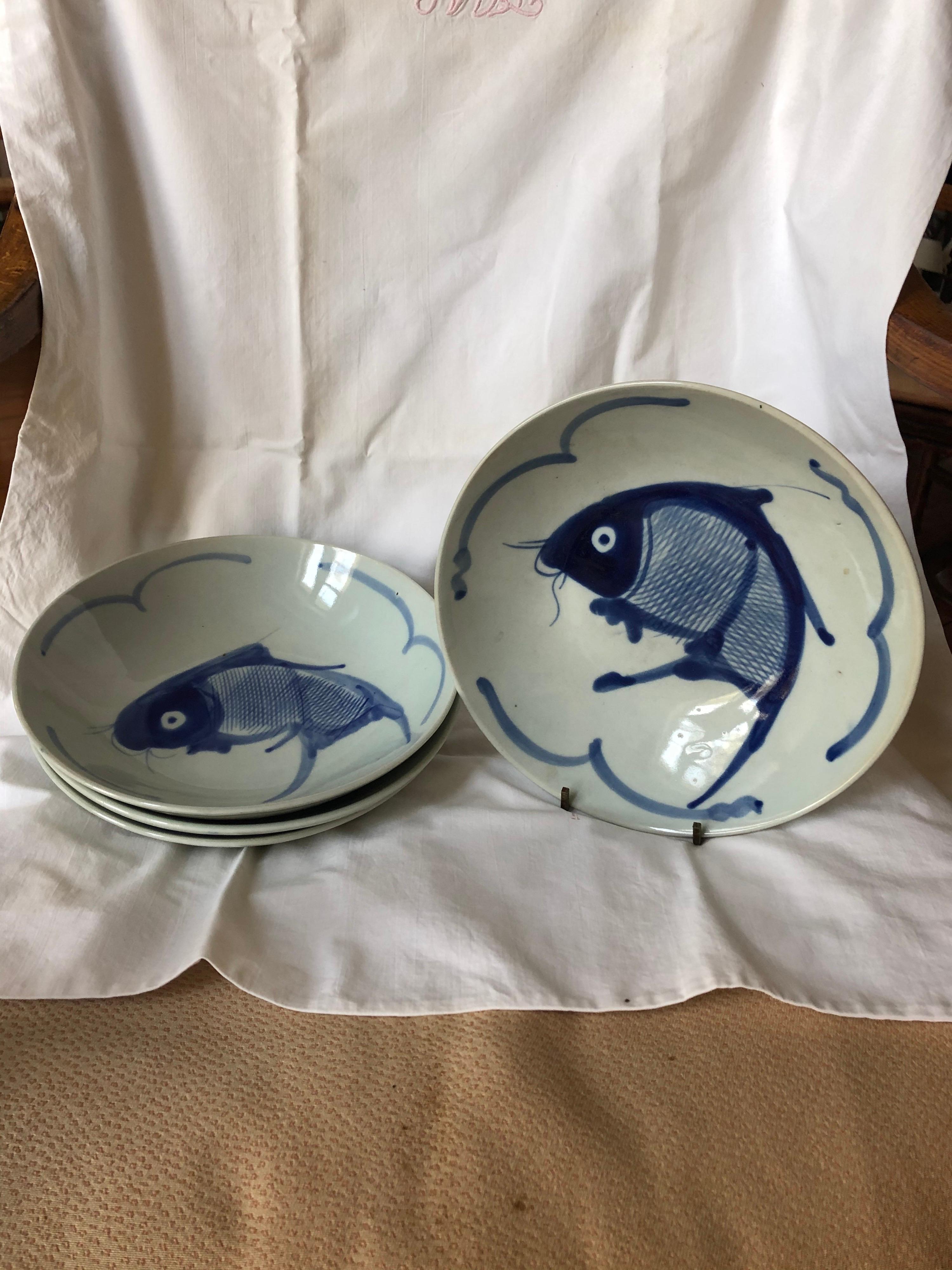 blue koi fish for sale