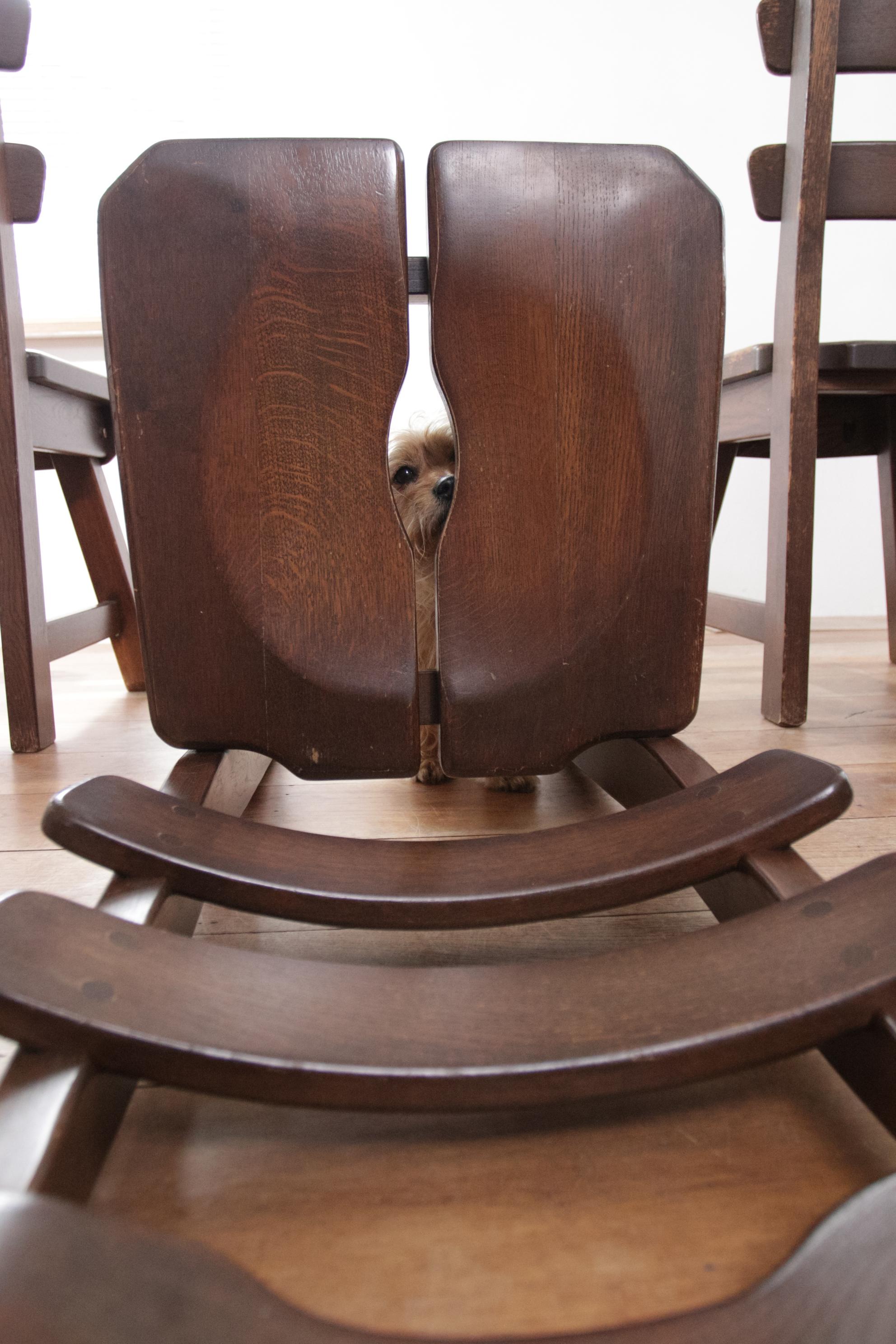 4 Dutch Brutalist Oak Ladderback Dining Wabi Sabi Room Chairs For Sale 6