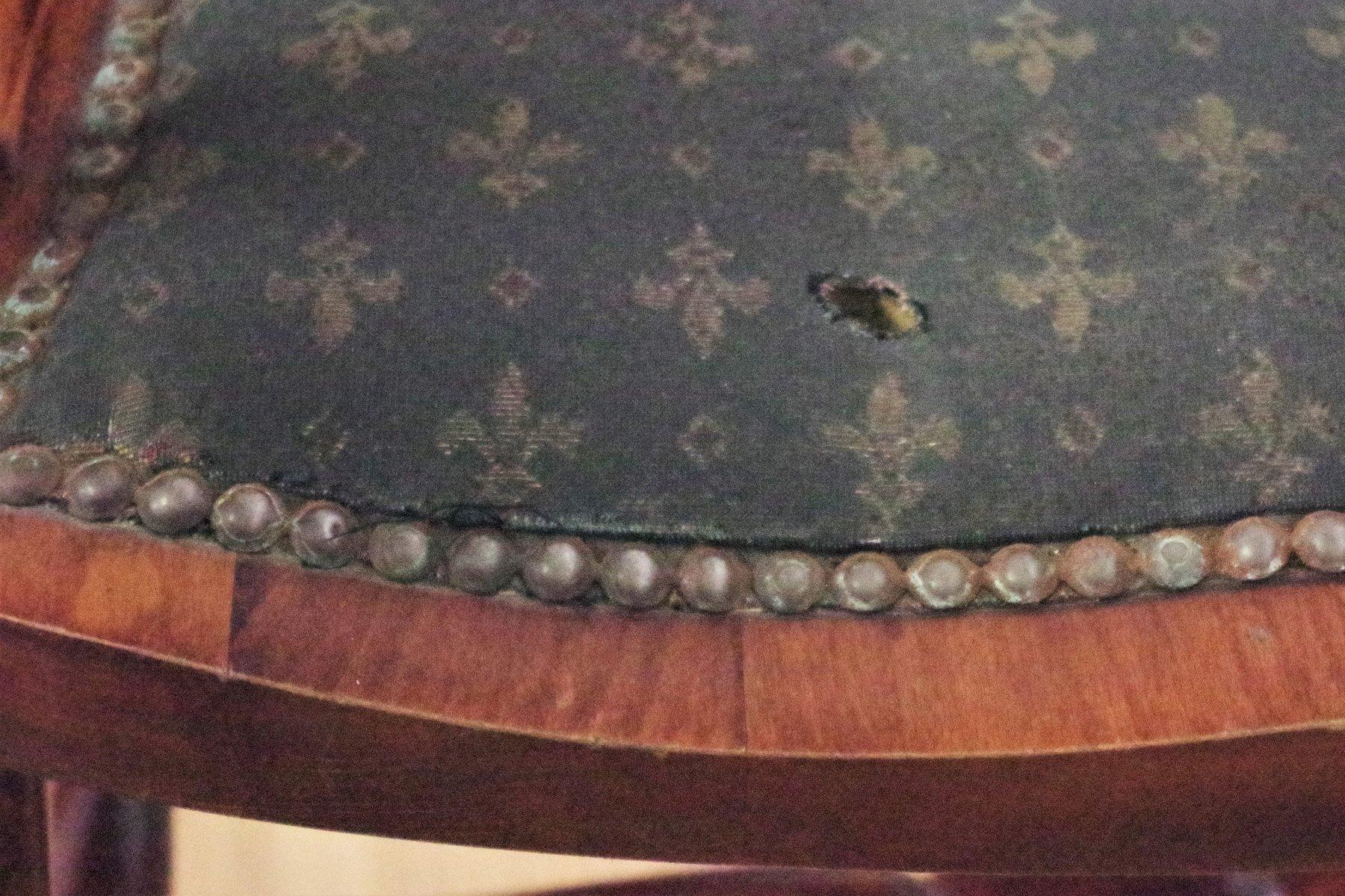 4 englische Windsor Bauernstühle - Buche, frühes 20. Jahrhundert (Early 20th Century) im Angebot