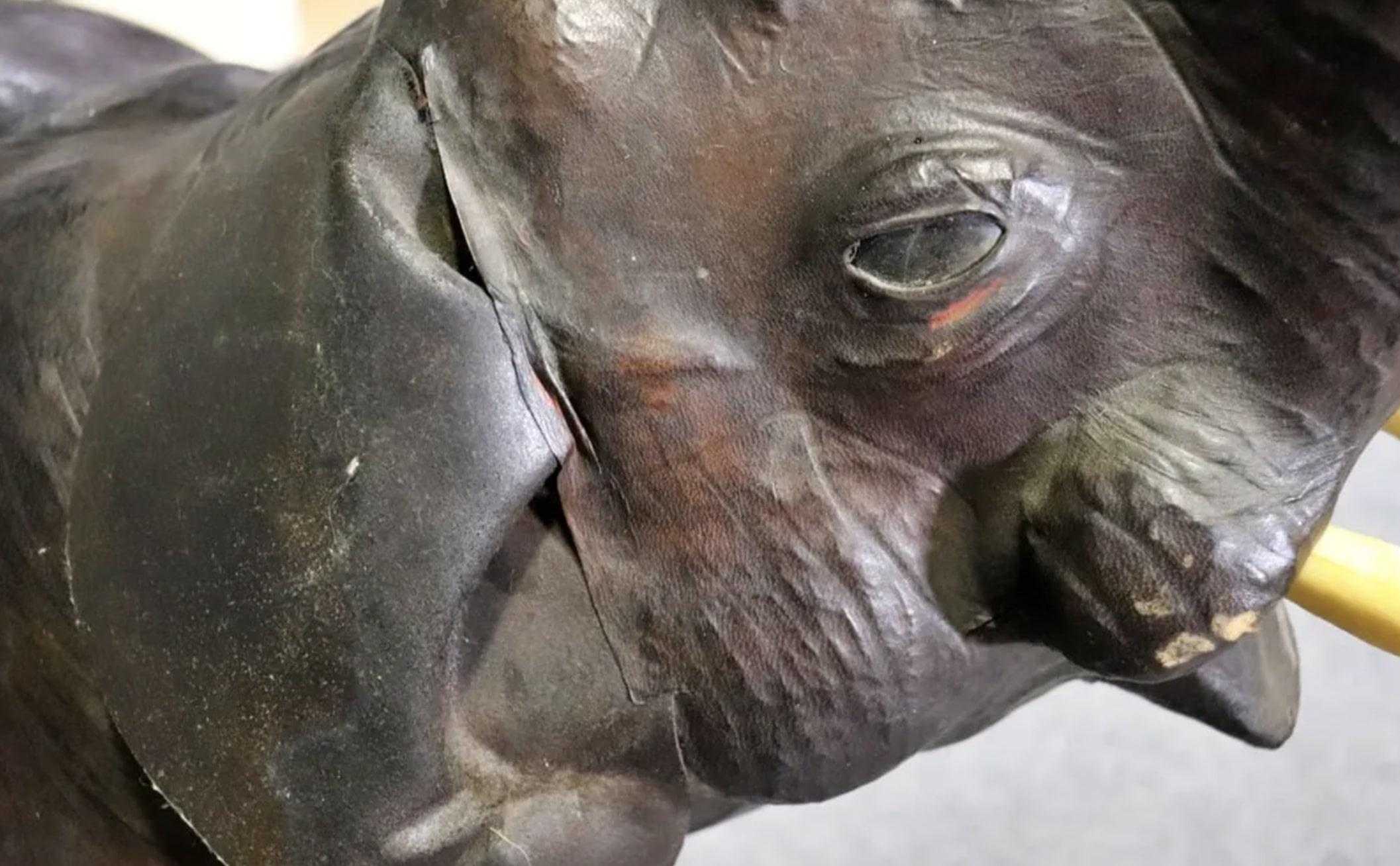 XX secolo Elefante di 4 piedi avvolto in pelle
