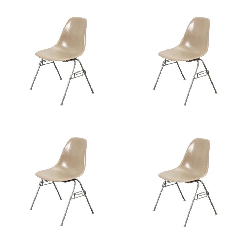 4 Herman Miller Eames Beige Dining Chairs In Good Condition In Brooklyn, NY