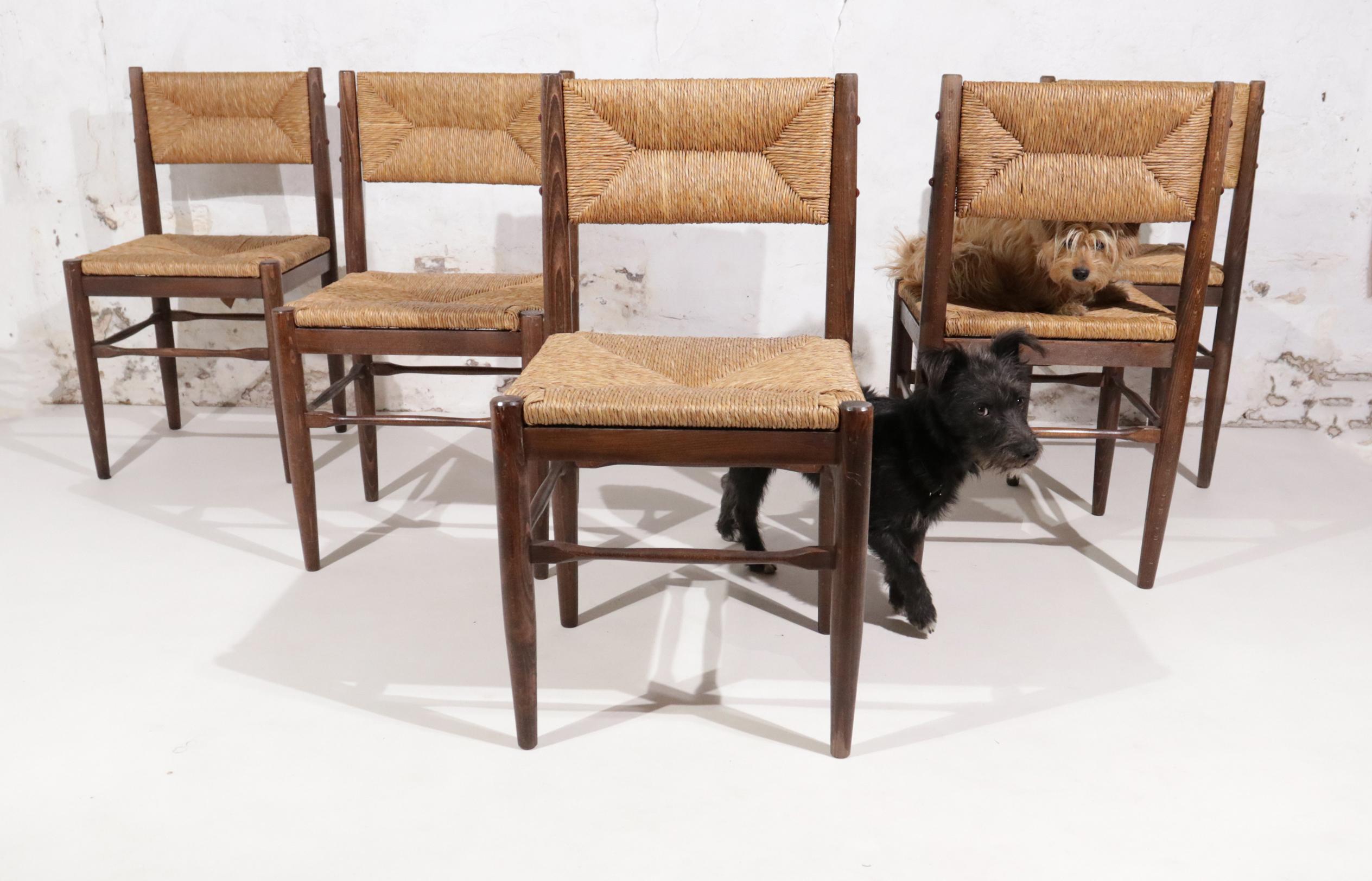 Mid-Century Modern 5 Hungarian Pine Rush Dining Chairs in Style of Charlotte Perriand