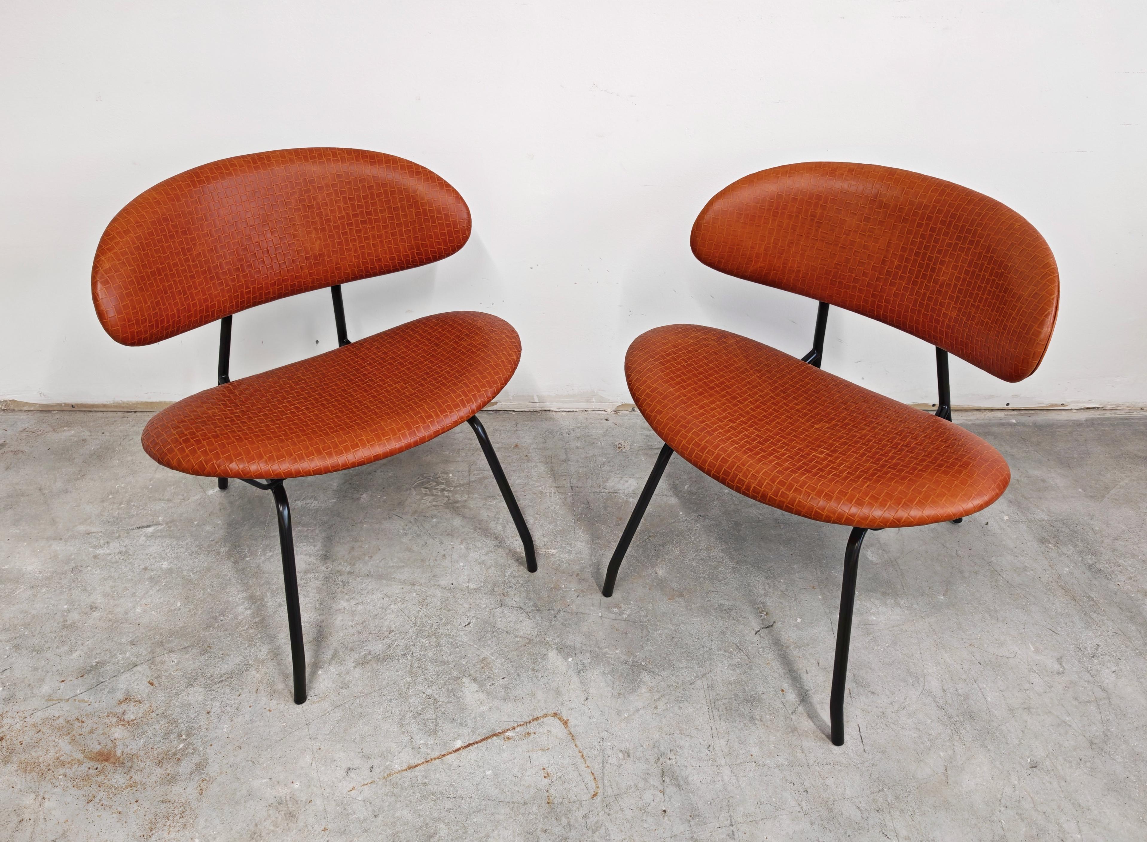 4 Poltroncine di Rino Vernuccio per RIMA, completamente ristrutturate, Italia anni '50 in vendita 7