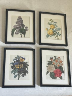 4 P.J.Redoute Botanical Floral Chromolithographs Framed