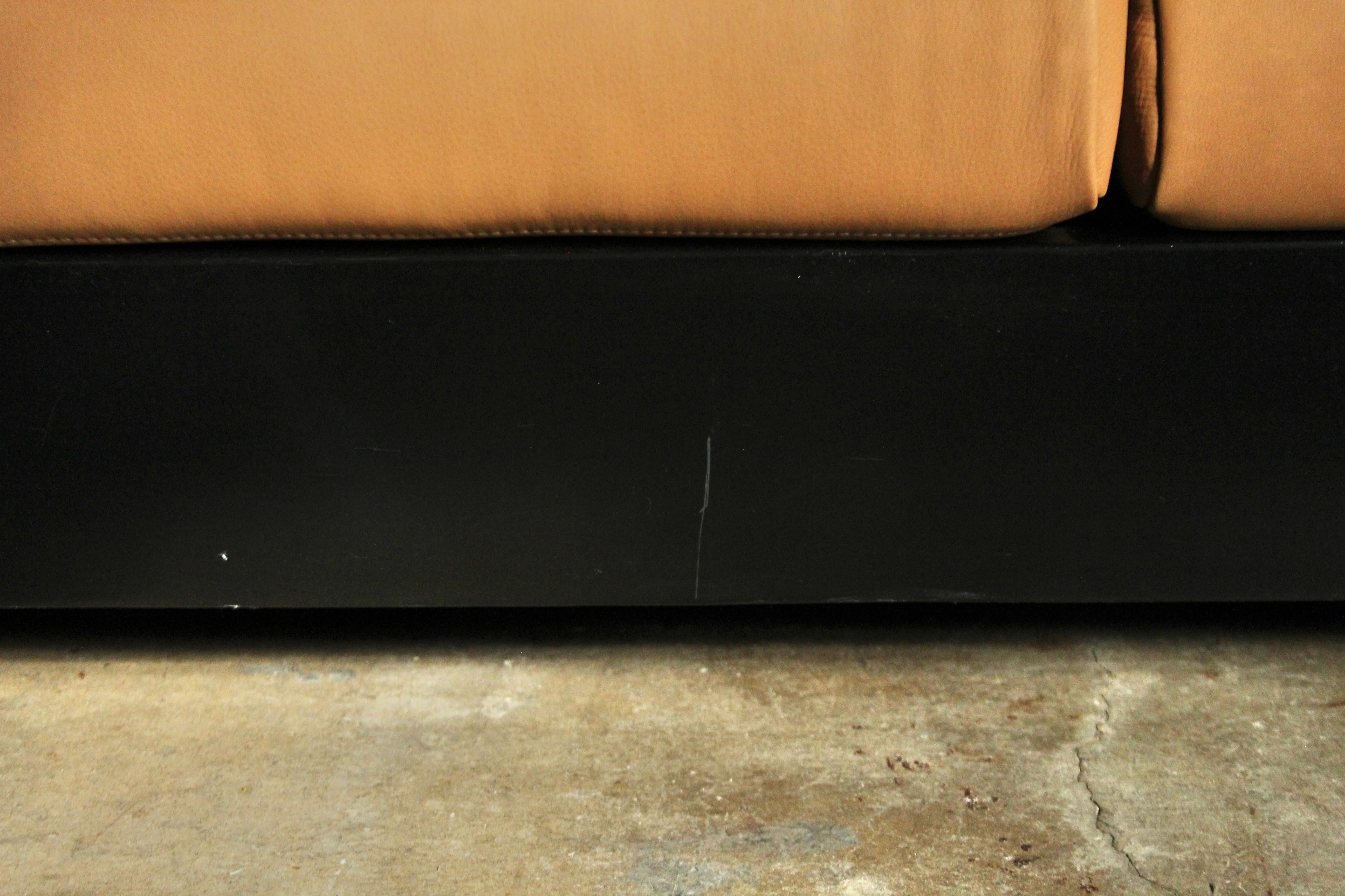 4-Seat 'Saratoga' Sofa by Massimo & Lella Vignelli for Poltronova, 1960s 2